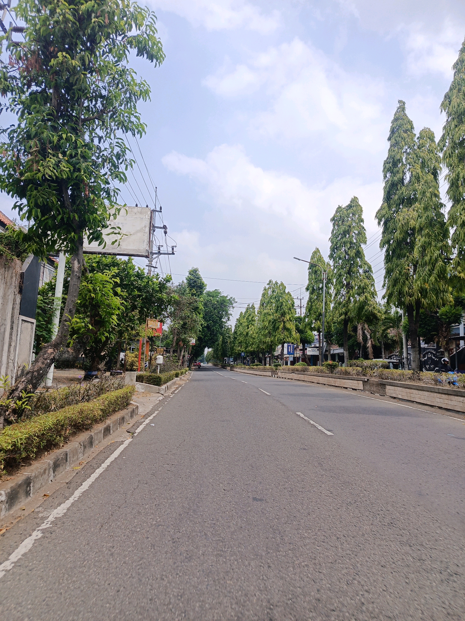 The image depicts a street scene in Sukowinangun, Indonesia. The asphalt road occupies the foreground and extends into the distance, bordered by a concrete curb and a low hedge on the left. On the right, a similar curb and hedge are visible, with a low concrete retaining wall behind it. The left side of the street features a concrete wall, a tree with a thick trunk and lush green foliage, and further back, a building with a white sign mounted on poles and overhead power lines. A variety of trees, some tall and slender with dense green canopies and others with broader, more rounded shapes, line both sides of the street. In the distance, the road curves slightly and is lined with more trees and buildings. A few vehicles are visible, including a red car in the distance on the left and a person on a motorcycle on the right. The sky is partly cloudy, with patches of blue visible. The overall impression is a well-maintained street in a suburban or semi-urban area.