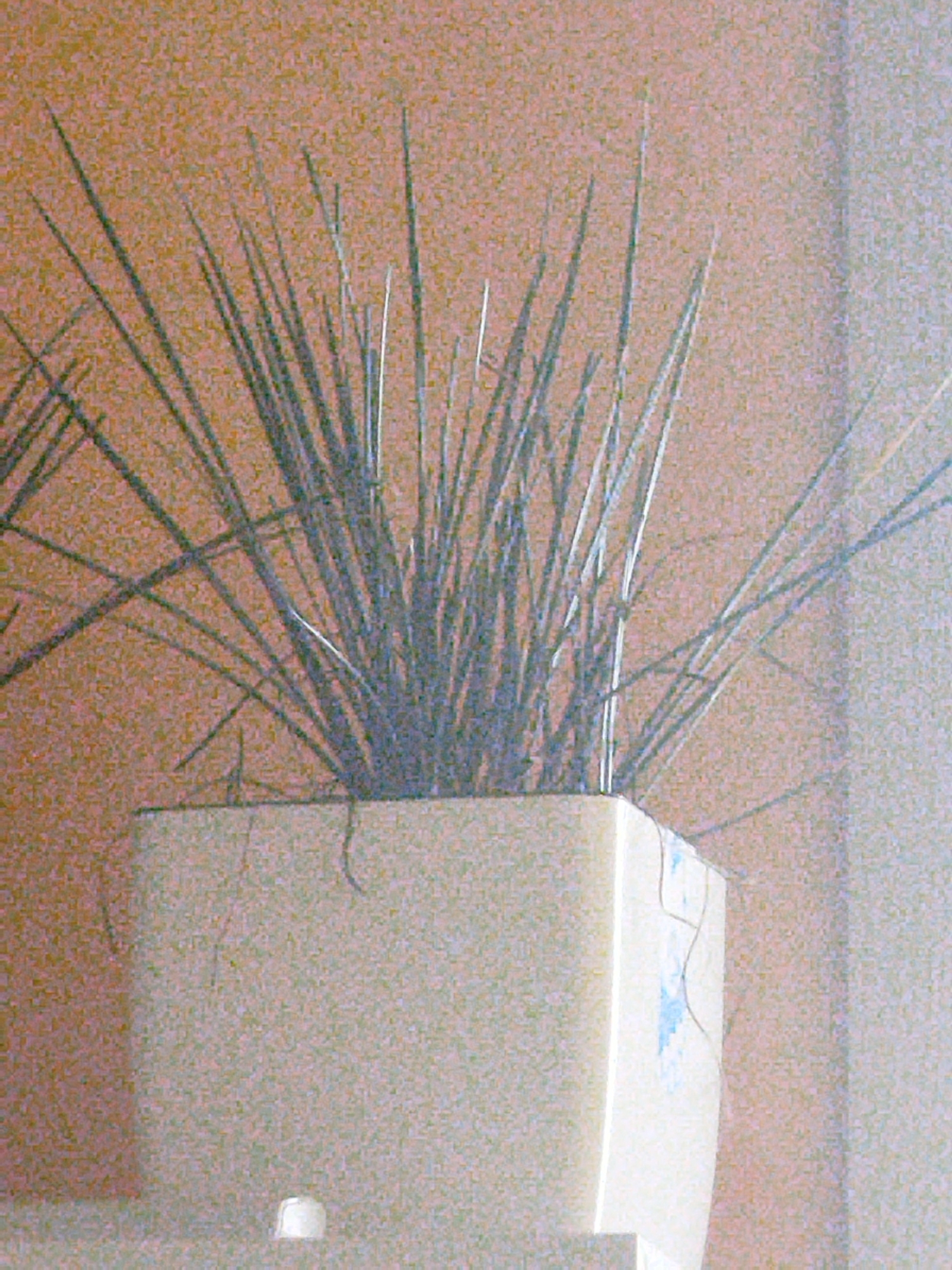 A close-up shot focuses on a potted plant with thin, spiky green leaves. The plant is in a light-colored, rectangular pot. The background is an orange, textured wall. The image appears to have been taken indoors, possibly in a home or office setting. There is no identifiable information about the location in the city of Verkhnodniprovsk, Ukraine, as the image is a close-up of a plant and its container and does not contain any contextual elements to place it geographically.