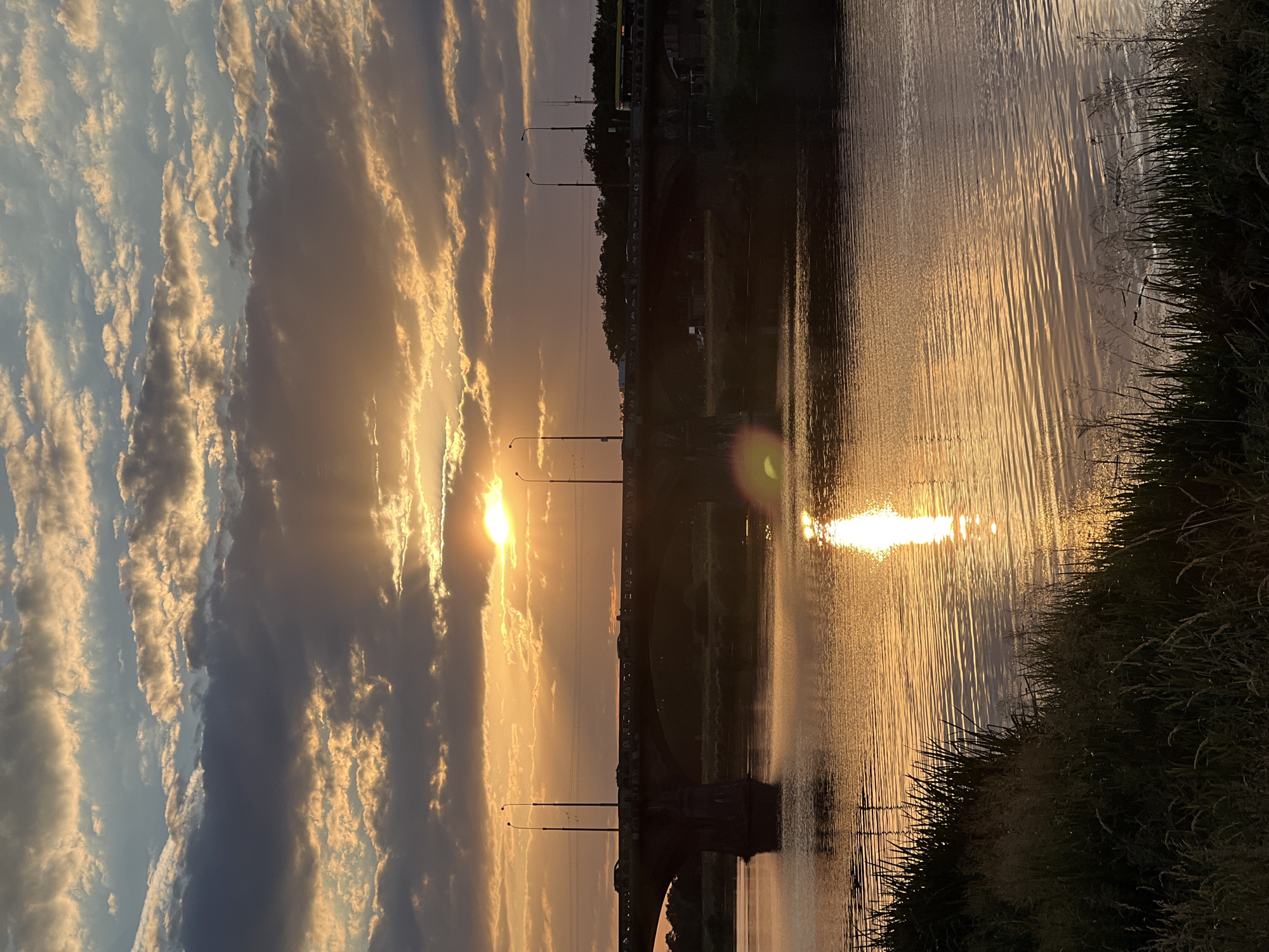 The image captures a sunset over the Oder River in Wrocław, Poland. A bridge, likely the Grunwaldzki Bridge due to its arched structure and prominent piers, spans the river. Cars are visible driving across the bridge, silhouetted against the bright orange and yellow sky. Streetlights and utility poles line the bridge. The sun is setting behind the clouds, casting a warm glow on the water and the sky. The river's surface reflects the sunset's colors, creating shimmering patterns. The foreground shows the riverbank with tall grasses and reeds. The overall scene is serene, with the natural beauty of the sunset enhanced by the urban infrastructure.