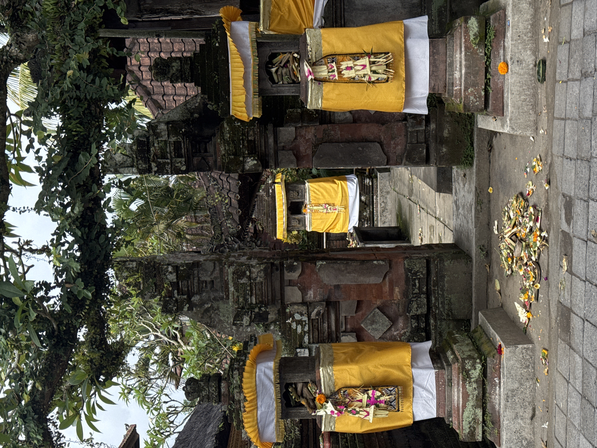 The image depicts a ceremonial entrance in Ubud District, Indonesia, likely a temple or shrine. Two stone pillars, adorned with bright yellow and white fabric, stand on either side of a pathway leading further into the complex. These pillars are decorated with small, intricate offerings made of woven leaves and flowers, adding to the spiritual atmosphere. Fallen leaves and petals are scattered on the stone-paved ground in front of the entrance, suggesting a recent ritual or a naturally occurring shedding of foliage. Beyond the immediate foreground, a similar structure is visible, also draped in yellow fabric, hinting at a series of these ceremonial gateways. The architecture features weathered stone and red brick, overgrown with moss and vines, indicative of the tropical climate and the age of the structures. Lush green foliage hangs overhead, framing the scene and contributing to the serene, culturally rich environment. No people are present in the image, emphasizing the sacred and contemplative nature of the location.