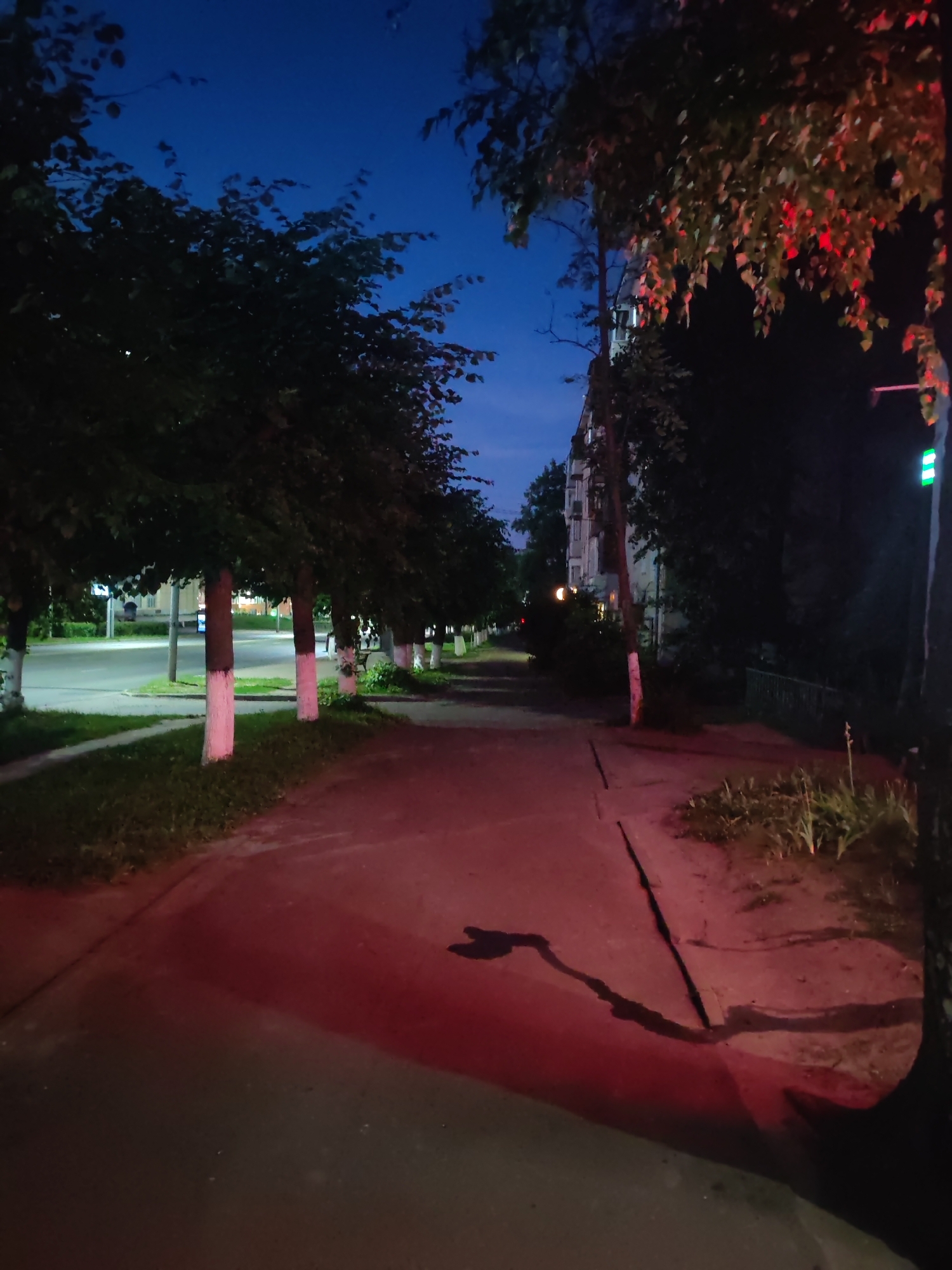 The image depicts a quiet street scene at dusk in Vladimir, Russia. A tree-lined sidewalk, with trees painted white at their bases, runs along the left side of the frame, leading towards a multi-story apartment building in the distance. The sky is a deep blue, indicating the transition from day to night. Red and green lights, possibly from a traffic signal, are visible in the upper right corner and on the far right edge of the image, casting a reddish glow on the sidewalk and surrounding foliage. The sidewalk itself is a dark, textured surface, with a prominent red reflection suggesting an artificial light source off-camera. Shadows are cast across the sidewalk, adding depth to the scene. The overall mood is peaceful and slightly eerie, amplified by the low light and the unusual colors. There is no visible text in the image.