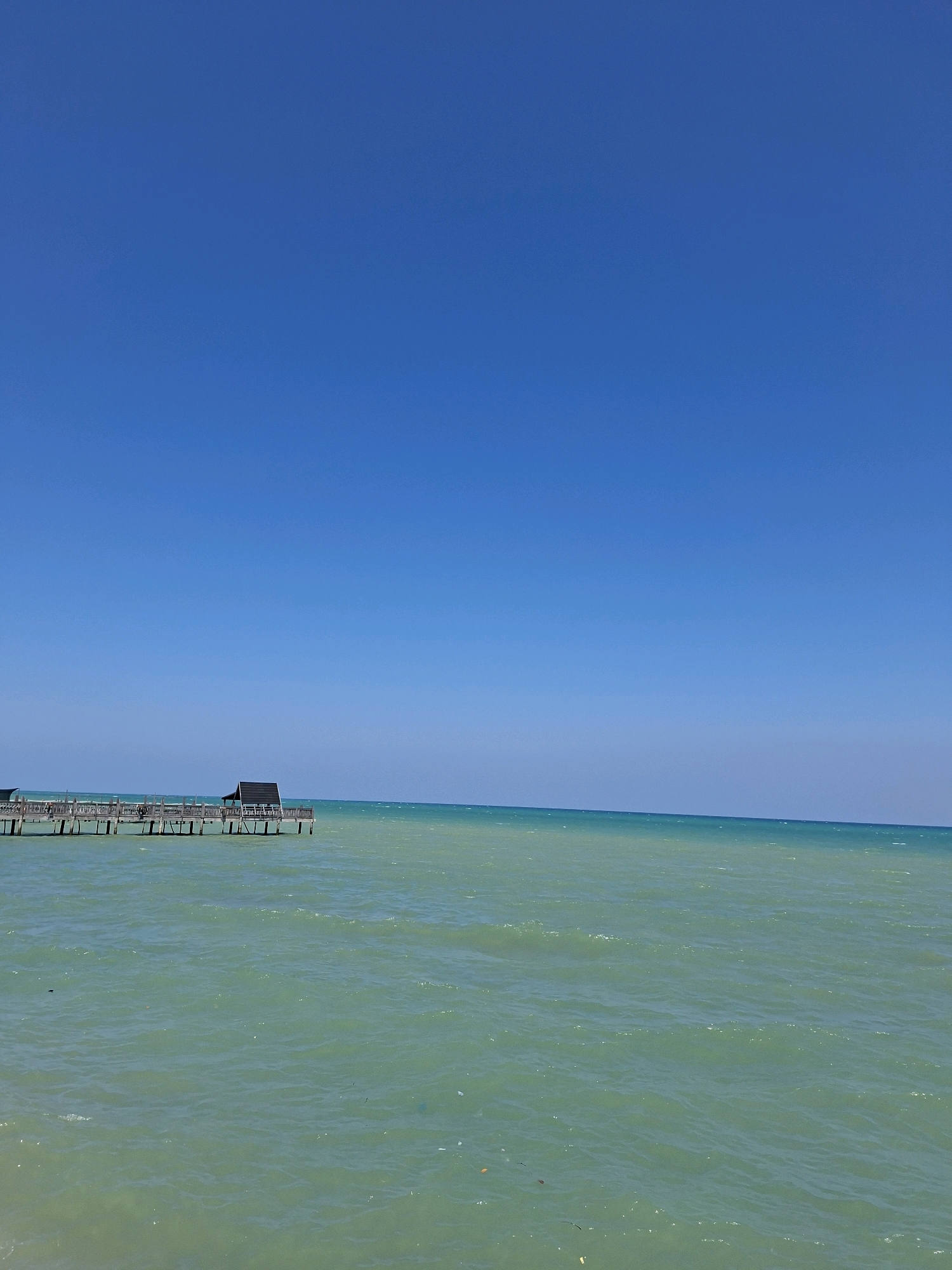 The image depicts a serene coastal scene at what appears to be a pier in Sejati, Indonesia. The sky is a clear, vibrant blue, stretching across the upper portion of the frame. Below the sky, a calm, greenish-blue body of water dominates the lower two-thirds of the image. A wooden pier extends from the left side of the frame towards the right, featuring railings and several upright supports. At the end of the pier, a small, dark-colored structure with a pitched roof is visible, resembling a shelter or a small building. The water is slightly rippled, suggesting a gentle breeze. A few dark specks, possibly debris or leaves, are scattered on the water's surface. The overall impression is one of tranquility and natural beauty.