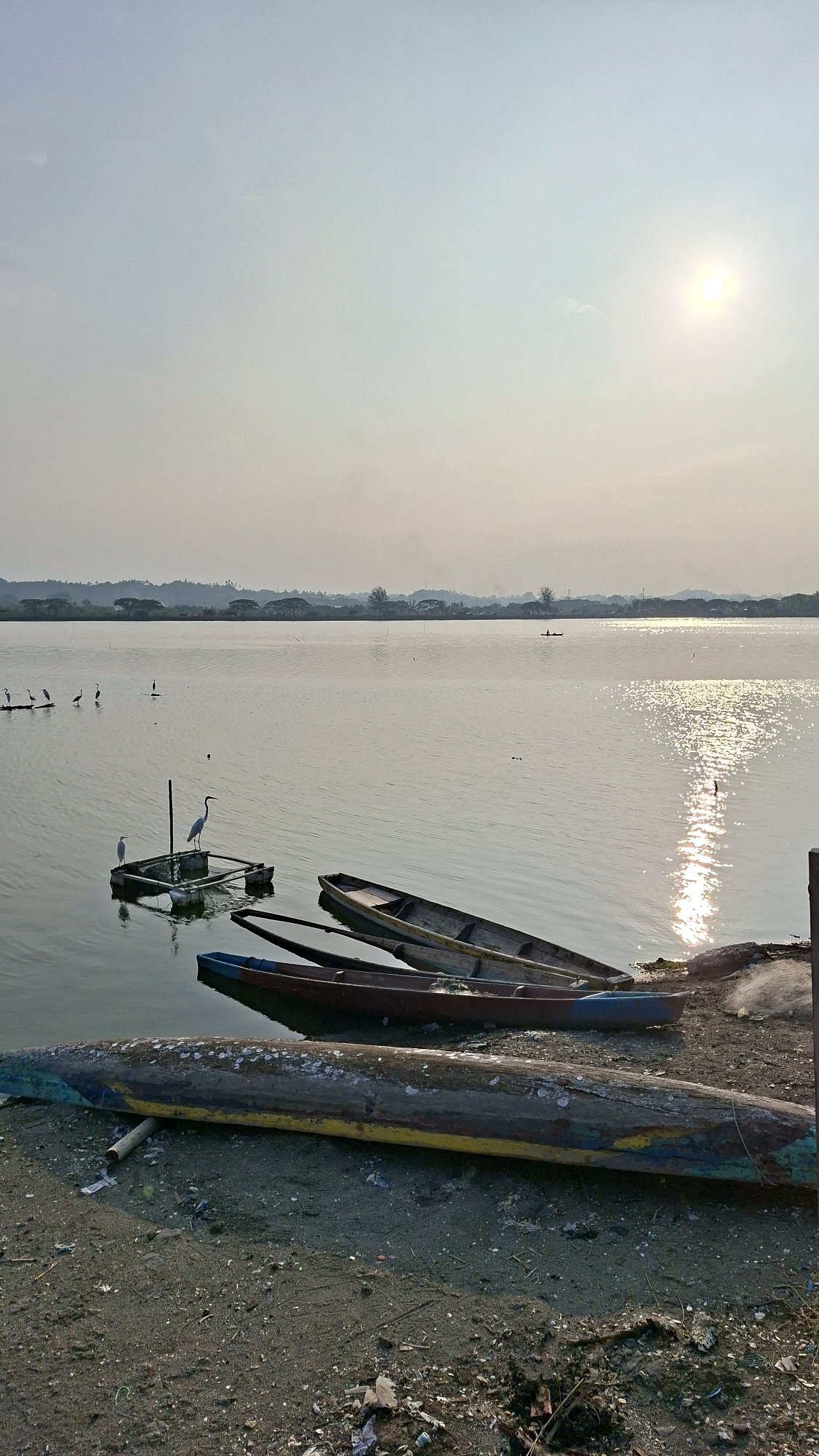 In Lhokseumawe, Indonesia, the image captures a serene waterscape at dusk. A vast body of water, likely a lake or a calm bay, dominates the scene, reflecting the pale sky and the setting sun. The sun, a bright orb, is positioned in the upper right quadrant, casting a shimmering path of light across the water's surface. The horizon is marked by a distant, tree-lined shore with faint outlines of buildings.
Several wooden boats are the primary subjects. In the foreground, a long, weathered canoe lies on the sandy shore, its hull painted with faded streaks of yellow, blue, and green. Further back, three more canoes are partially submerged in the water, resting close to the shore. One canoe is a reddish-brown hue, another is a lighter wood color, and the third, closest to the shore, has a blue stripe along its upper edge.
In the middle ground of the water, a small, makeshift raft constructed from plastic containers and wooden planks supports two white herons. One heron stands tall and alert, while the other appears to be perched. In the distance, on a similar structure or in the shallow water, several other birds, likely egrets or herons, are visible, standing in a line.
A lone figure in a small boat is a solitary presence in the expansive water in the far distance, adding a sense of scale and human activity to the otherwise tranquil environment. The shoreline is a mixture of sand and debris, suggesting a less-maintained area. The overall atmosphere is one of quiet contemplation and natural beauty, characteristic of a coastal or lakeside setting in Lhokseumawe.