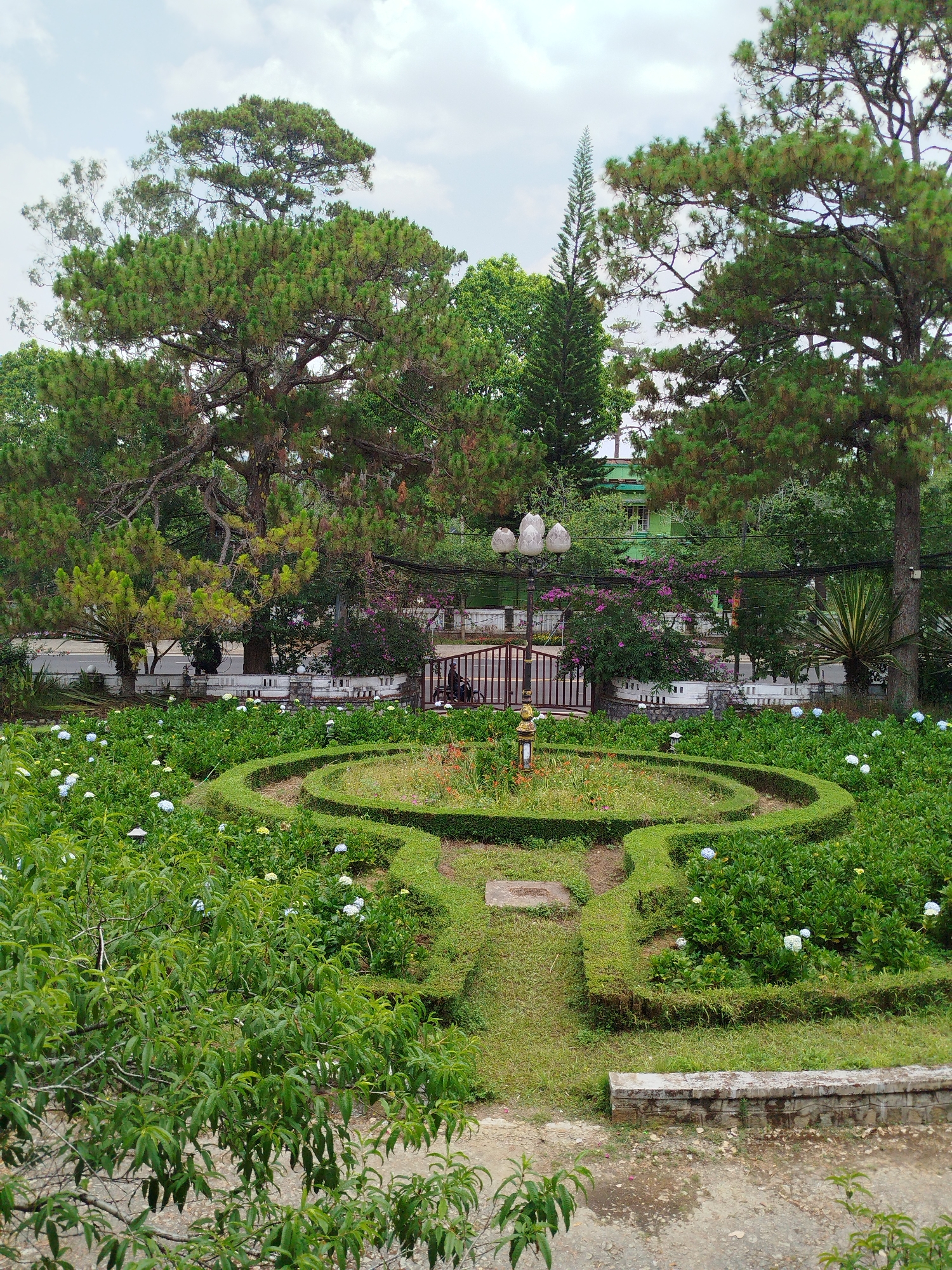 The photograph shows a manicured garden in Da Lat, Vietnam. The garden is laid out in a formal design with low box hedges forming geometric shapes. Hydrangea bushes with white and blue flowers are planted within the hedges. A stone path leads into the garden from the foreground.
Beyond the garden, a wrought-iron gate and street lamps mark the boundary, with a glimpse of a building visible in the background. Large trees, including pine trees, frame the scene. The sky is overcast.