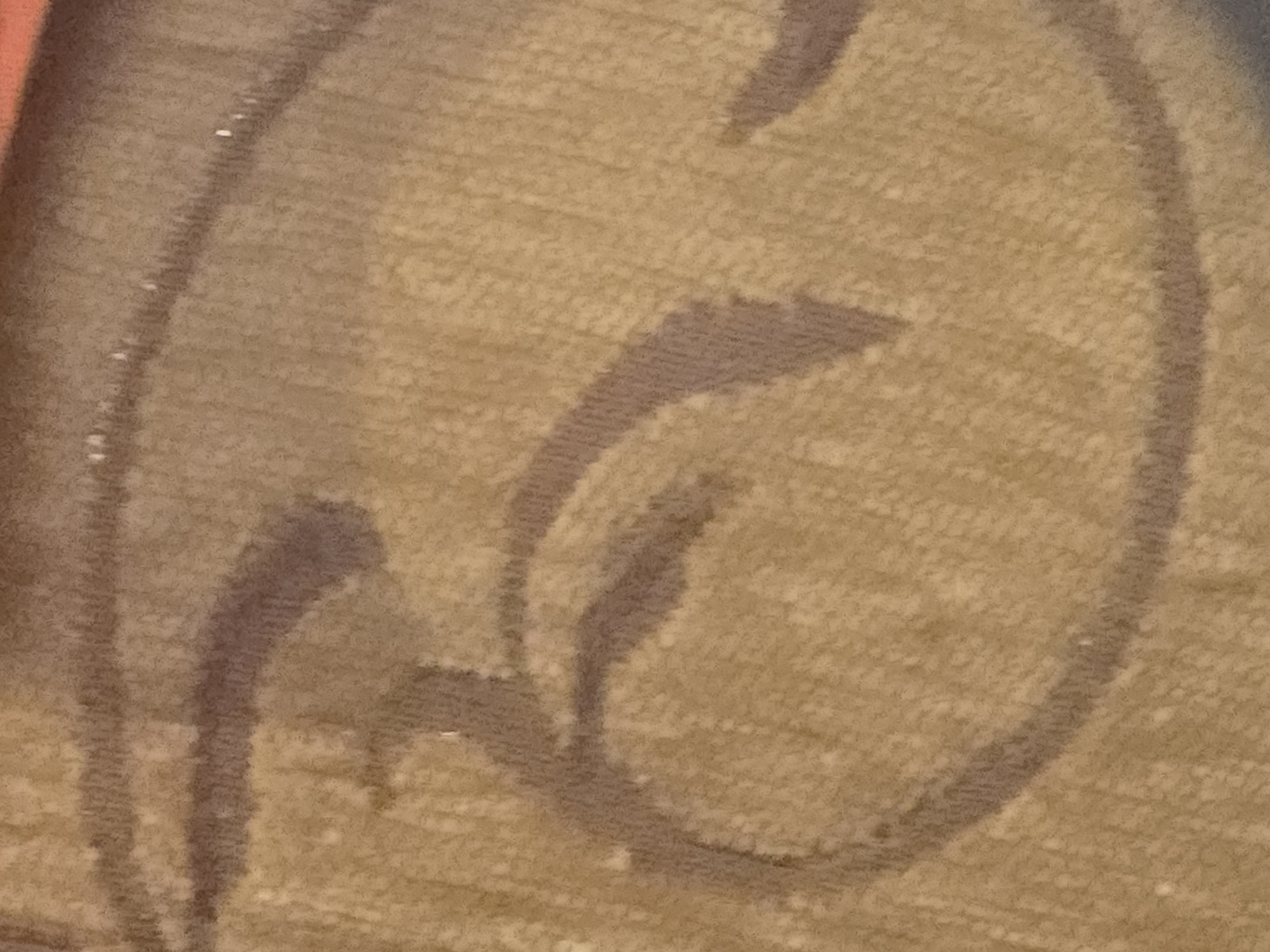 The image shows a close-up view of a textured fabric with a pattern of brown, stylized lines. The fabric appears to be a light tan or beige color, with a slightly fuzzy or fleecy texture. The brown lines are irregular and curved, resembling brushstrokes or ink markings. There are also small, scattered white specks on the fabric, which could be fibers or imperfections. The lighting is somewhat dim, casting soft shadows and highlighting the texture of the material. No people, actions, or environmental context are visible.