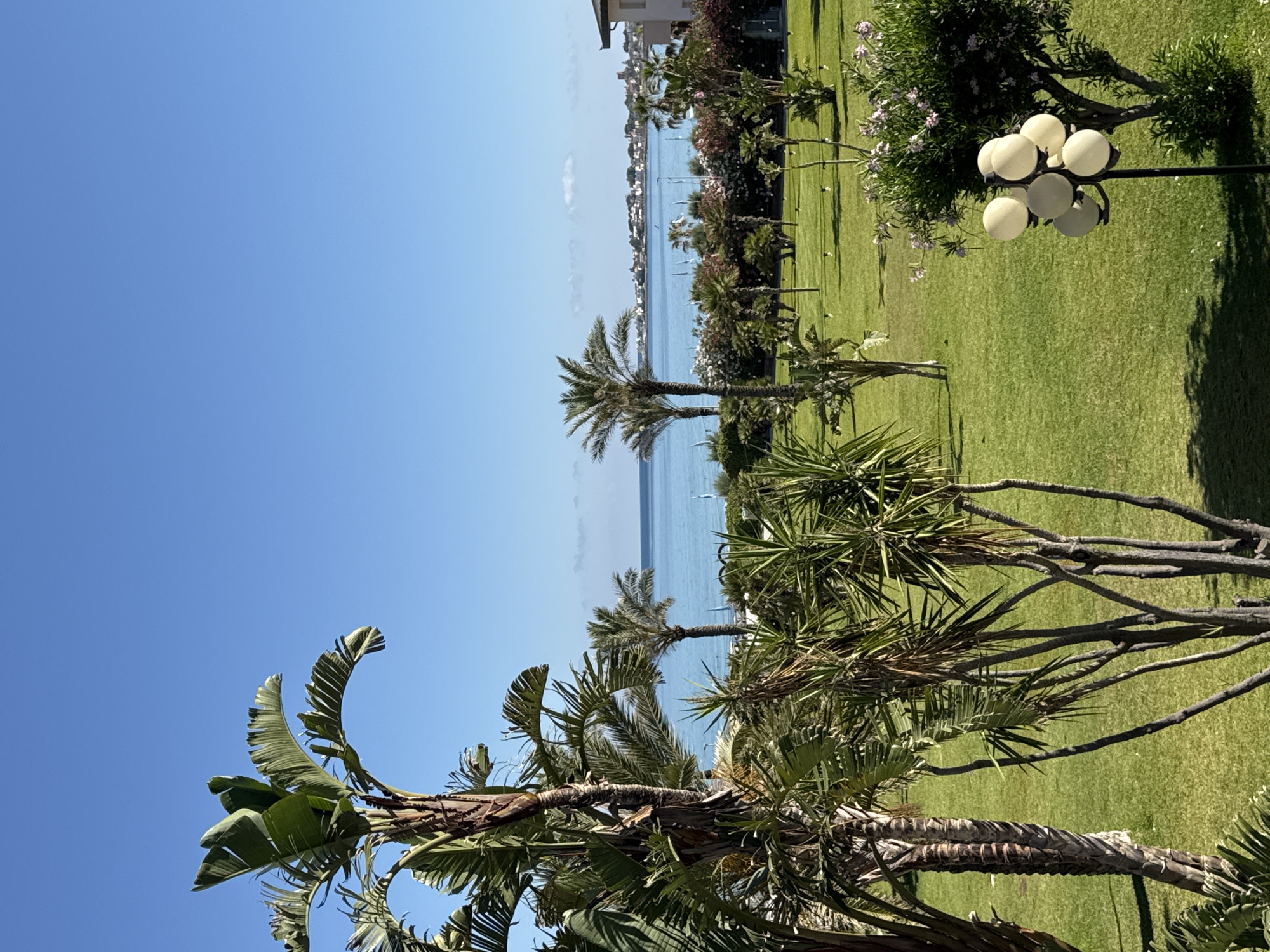 A clear, bright day is depicted in Isola delle Femmine, Italy, featuring a scenic view of the Mediterranean Sea. In the foreground, several palm trees and lush green grass dominate the landscape. A cluster of spherical outdoor lights is visible to the right, casting shadows on the lawn. Beyond the lawn, the turquoise sea stretches out towards a distant coastline dotted with buildings, suggesting a town or city. The sky is a vibrant, cloudless blue. The overall impression is one of a serene coastal resort or garden area.