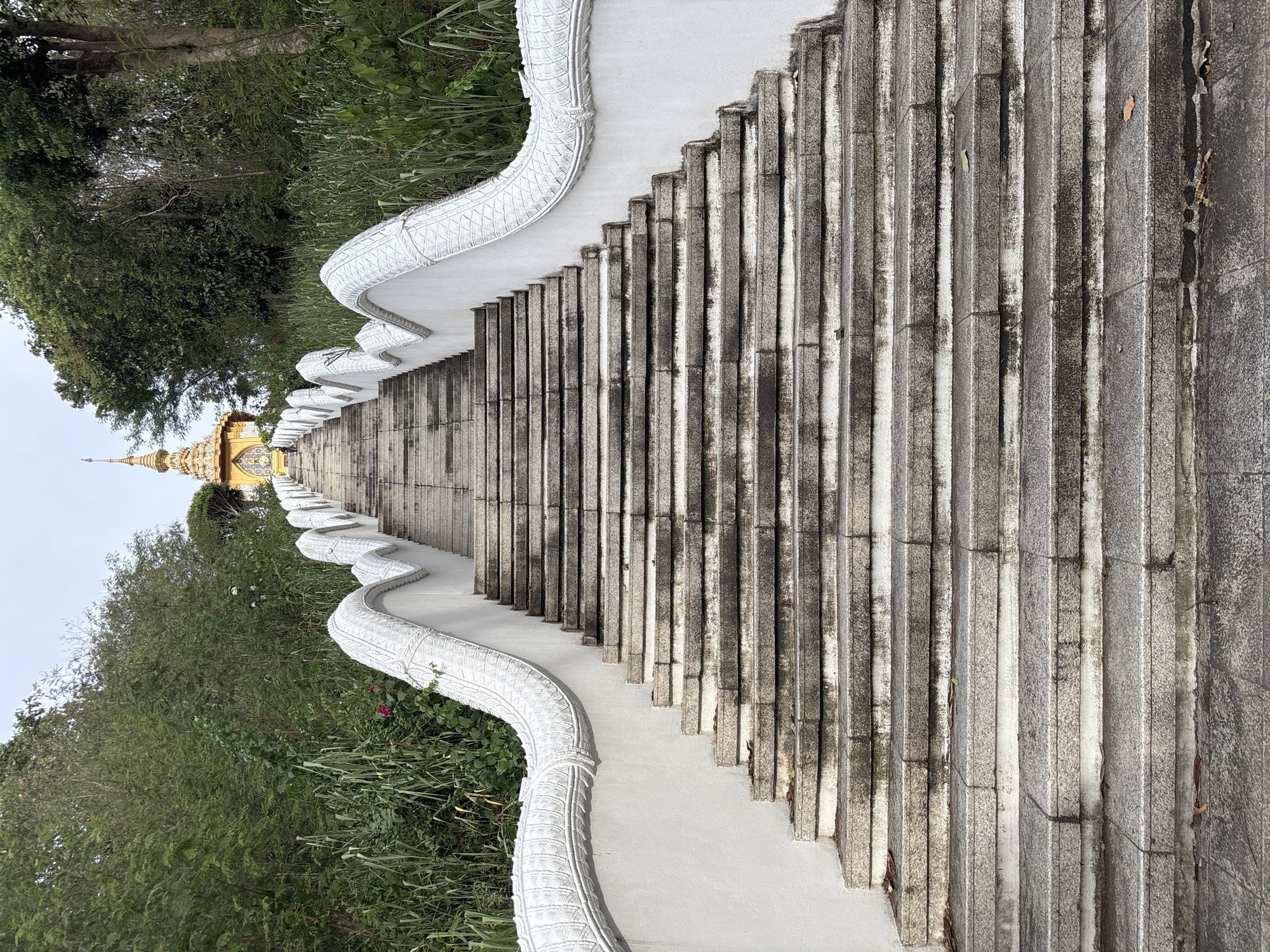 A wide, long stone staircase ascends a hill towards a golden temple structure topped with a spire, partially obscured by trees. The staircase is bordered by white, sculpted balustrades resembling dragon scales. Lush green vegetation, including tall grasses and trees, grows on either side of the staircase and envelops the temple at the top. The stone steps appear worn and weathered, with some debris, such as fallen leaves, scattered on them. The sky above is overcast. The scene is set in the vicinity of Map Phra Khunthong, Thailand.