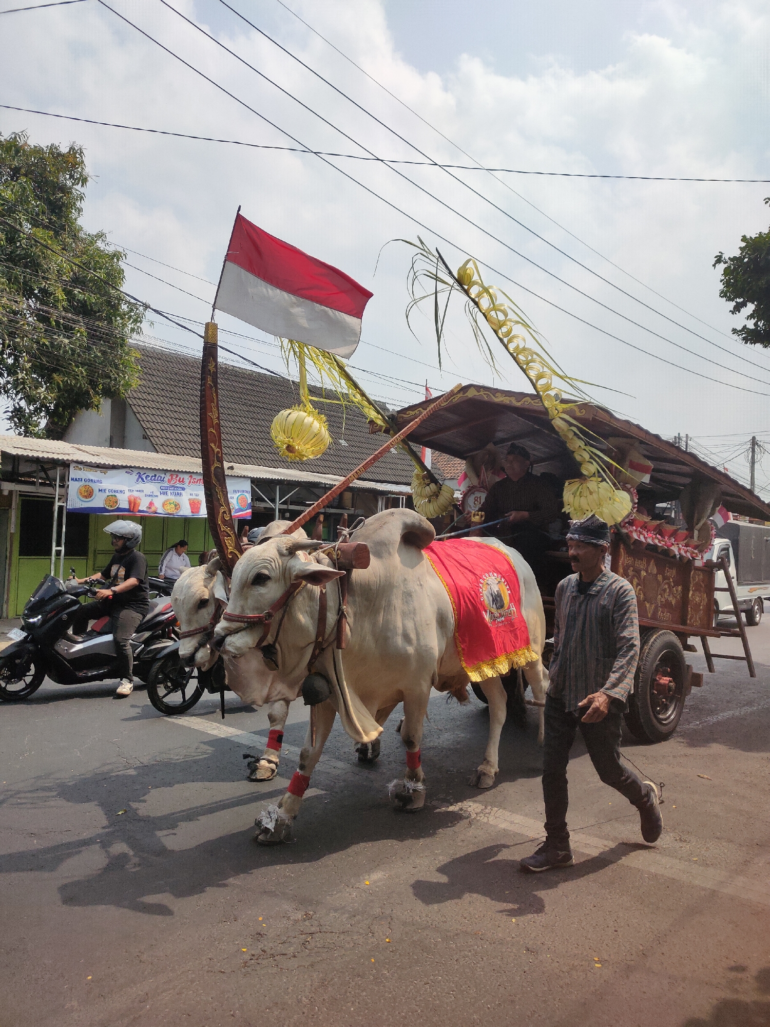 This image depicts a cultural procession in Ngasem, Indonesia, featuring two oxen pulling a decorated cart. The oxen are adorned with red blankets and intricate harnesses. The cart itself is ornate, with a wooden roof and decorative elements including palm fronds and yellow, circular ornaments. A red and white Indonesian flag flies prominently above the cart.
In the foreground, a man in traditional attire, a striped shirt, and a dark cap, walks alongside the oxen, holding a rope attached to one of them. Behind him, a motorcyclist wearing a helmet and dark clothing is visible. Several other individuals are present in the cart and in the background, though their details are less clear.
The scene takes place on a paved street, with buildings and trees lining the background. Overhead power lines crisscross the sky, and the weather appears to be clear with some clouds. A banner for "Kedai Ibu Isni" (likely a food stall) is visible on one of the buildings, indicating a commercial area within the town. The overall impression is one of a community event or festival.