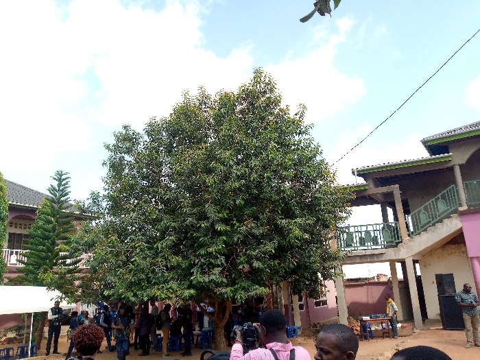 The scene is an outdoor courtyard in Beni, Democratic Republic of Congo, located at latitude 0.491 and longitude 29.483. The courtyard is bordered by a two-story building with a green metal railing on a balcony, and a single-story building with a pink facade. A large tree, with thick foliage, stands in the center of the courtyard. There are approximately 20 people congregated in the courtyard, most of them standing around the tree and conversing amongst themselves. Some people are wearing backpacks and are likely students or locals. There are two white tents, possibly for shade or events, one of which is partially visible on the left side of the scene. There is a small table with chairs and a few objects, possibly for food or refreshments, located on the right side of the scene. The ground is dirt and there are several trees and shrubs visible in the background. The sky is partly cloudy. The people are in the middle of their day, and the scene appears to be a casual gathering.