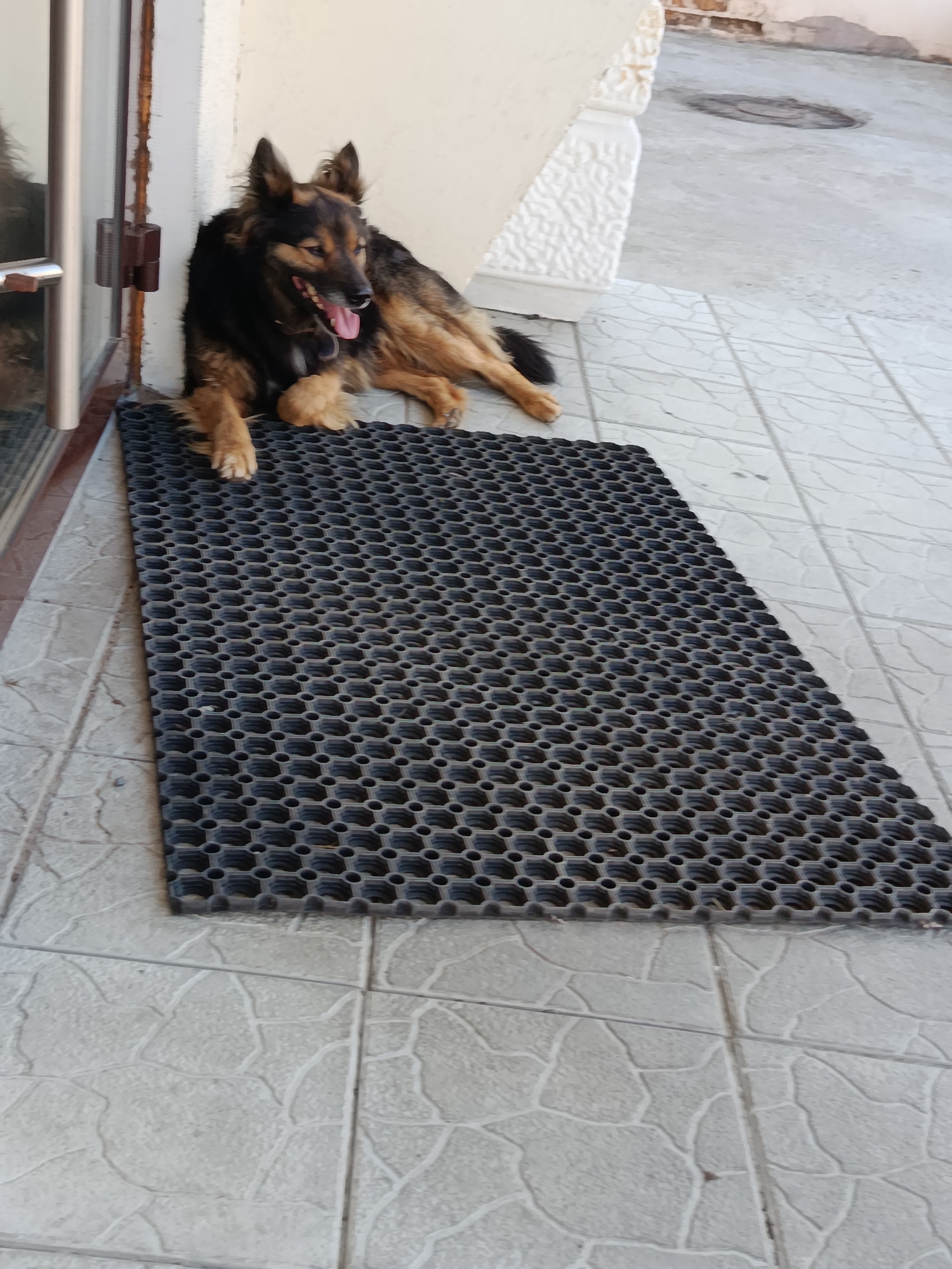 A medium-sized dog with black and tan fur is lying on a black honeycomb-patterned mat outside a building. The dog is lying on its side with its head up and tongue out, appearing to be panting or resting. Its front paws are on the mat, and its hind legs extend out of frame. The mat is placed on a tiled outdoor floor, with light gray tiles exhibiting a crackled pattern. To the left of the dog, a portion of a glass door with a metal handle is visible, suggesting an entrance. The background shows a white wall with decorative molding. The scene appears to be in a residential or commercial outdoor area.
