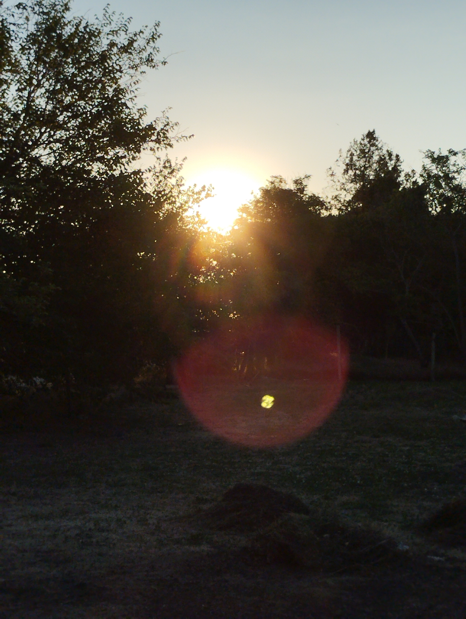 The image depicts a sunset scene. The sun is partially obscured by trees and foliage, casting a warm glow and lens flare across the frame. The sky transitions from a pale blue at the top to a warmer, yellowish hue near the horizon. Silhouetted trees line the middle ground and background, their branches creating an intricate pattern against the sky. The foreground is a dark, grassy area, with some patches of lighter color, possibly dew or frost. A blurred, reddish circular object, likely a lens flare, is prominent in the lower-middle section of the image, with a small, bright yellow speck within it. The overall atmosphere is tranquil and serene, suggesting a rural or natural setting. There are no people or specific landmarks visible that would indicate a precise location within Vasylivka, Ukraine.