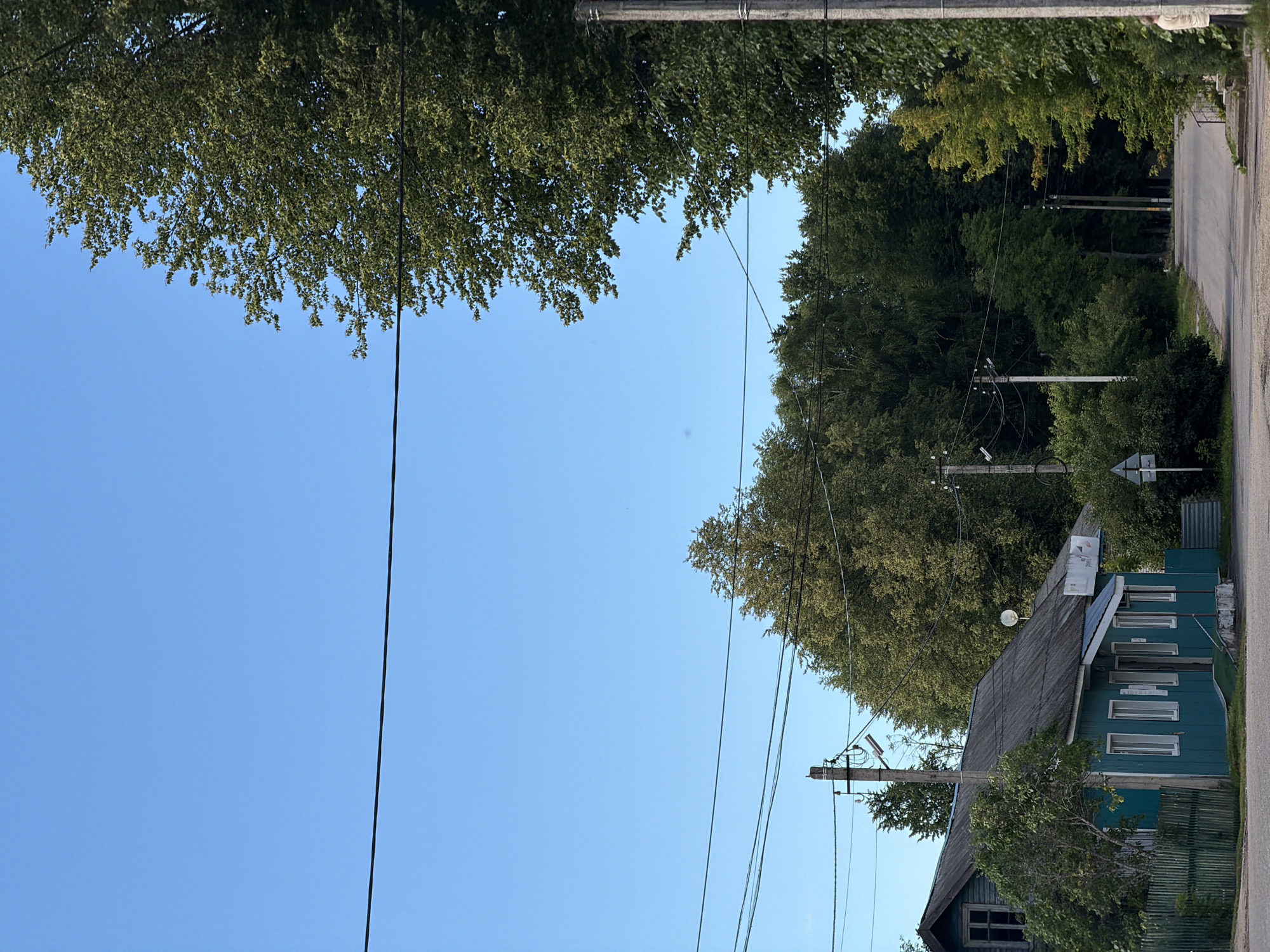 The image depicts a serene outdoor scene, likely in Moshenskoe, Russia, bathed in the clear blue sky of a sunny day. The perspective is vertical, suggesting the photo was taken upright, with the sky occupying a large portion of the frame.
On the left side, lush green trees with dense foliage hang over the scene, their branches reaching down, creating a natural canopy. Power lines, thin and dark, stretch across the sky, interspersed with the greenery.
On the right side, a teal-colored, wooden house is partially visible, featuring multiple white-framed windows and a dark, weathered roof. A satellite dish is mounted on the roof. A corrugated metal fence runs along the side of the property. Further down the scene, a paved road curves gently, bordered by more trees and vegetation. Utility poles with wires are scattered along the roadside, indicating a residential or rural area.
The overall atmosphere is peaceful and calm, suggestive of a quiet afternoon in a village or small town. There are no people visible in the frame, and no specific activity is taking place. The prominent presence of trees, a house, and a road points to a domestic or semi-rural setting. The clear sky and bright light suggest it is daytime, likely late morning or afternoon. A small, white sign with what appears to be a logo or advertisement is attached to the side of the house, but the text is illegible. Another grey, diamond-shaped sign with white symbols is visible near the road.