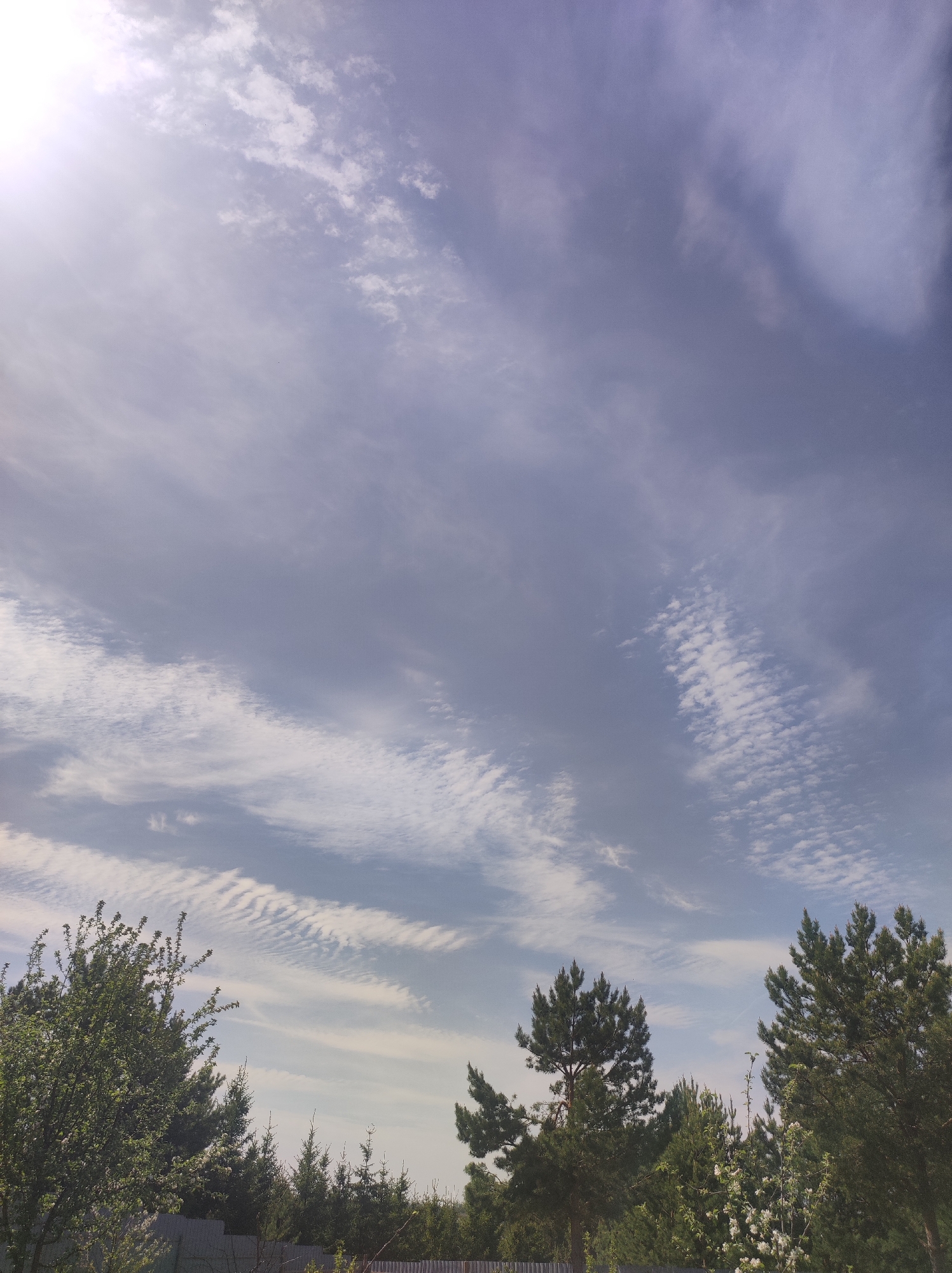 The image captures a cloudy sky over a wooded area. Thin, elongated clouds stretch across the blue sky. Trees of varying types, including evergreens and deciduous trees with visible foliage, occupy the lower portion of the frame. A section of a gray fence is partially visible amidst the trees. The location is Фоки, Russia.