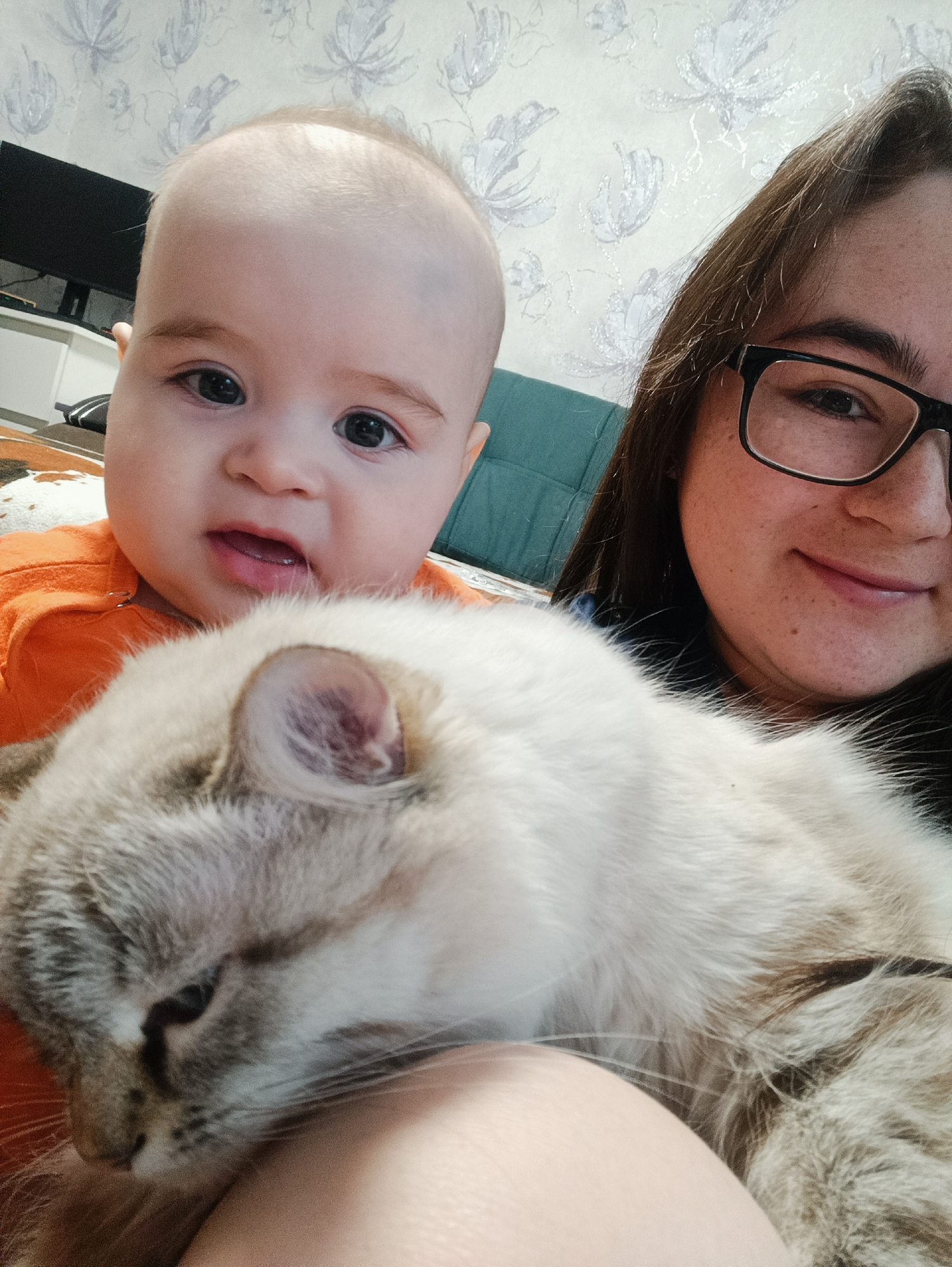 The image shows a selfie taken indoors. A fair-skinned woman with dark hair and glasses is on the right side of the frame. To her left is a baby with fair skin and an orange shirt. A light-colored cat is in the foreground, nestled close to the baby and woman. The background includes a wall with a floral pattern and a glimpse of a TV and cabinet. There is nothing in the image to confirm that this was taken in Noviy, Russia.