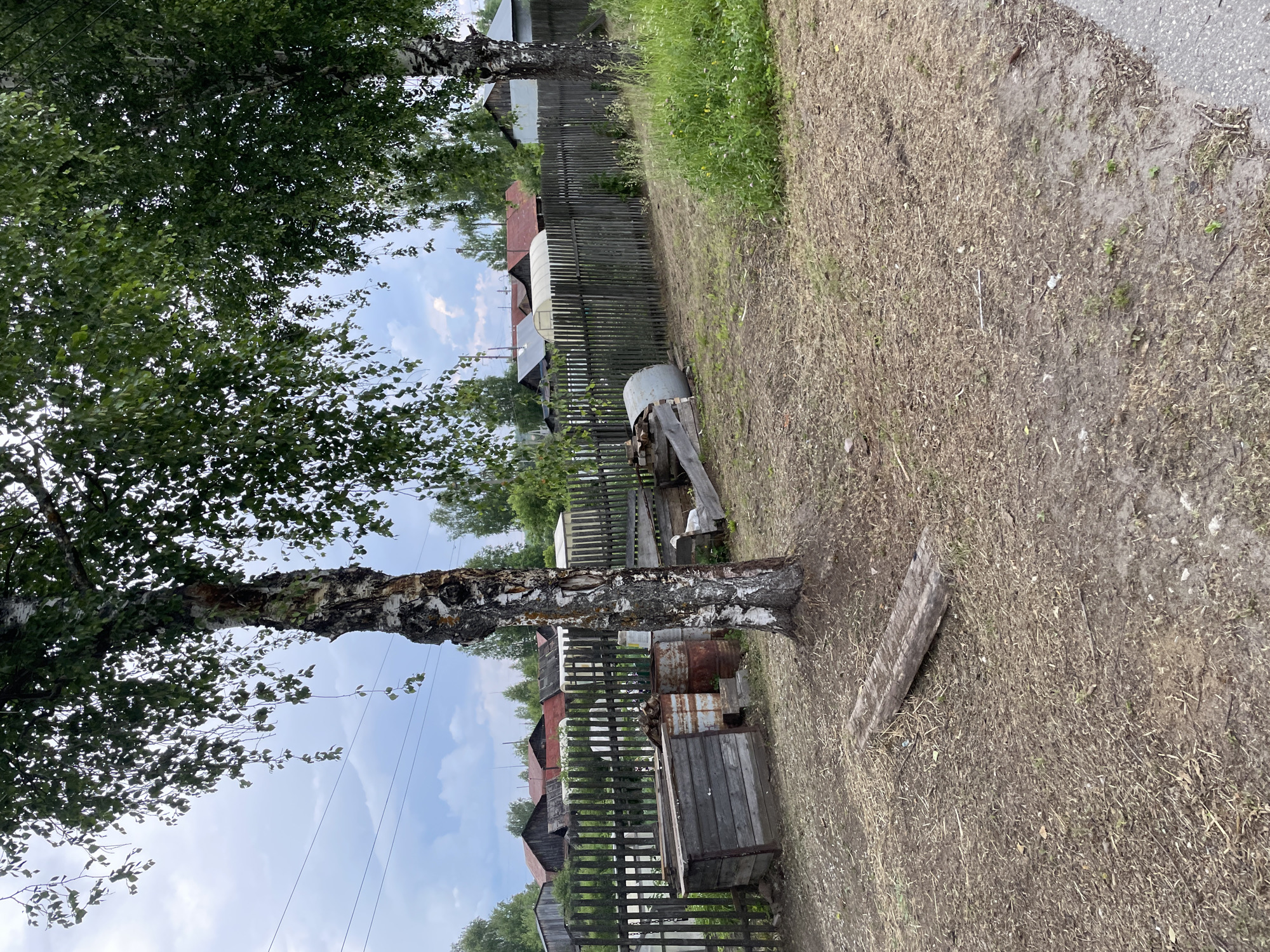The image captures a rural scene in the village of Prudyd, Russia, likely during the summer. A wooden fence forms a boundary across the mid-ground of the image. Beyond the fence, several rustic-looking buildings with dark, sloped roofs and one with a red roof are visible. These buildings appear to be houses. In the foreground, a large birch tree with distinctive white and black bark stands prominently, its branches and green leaves extending into the upper portion of the frame. The ground in the foreground is a mix of dry soil, scattered leaves, and some sparse green vegetation. Various objects are clustered near the fence, including wooden crates, rusty barrels, and a large metal cylinder, possibly a water tank, lying on its side. A wooden plank rests on the ground in the immediate foreground. The sky above is partly cloudy with a pale blue hue.