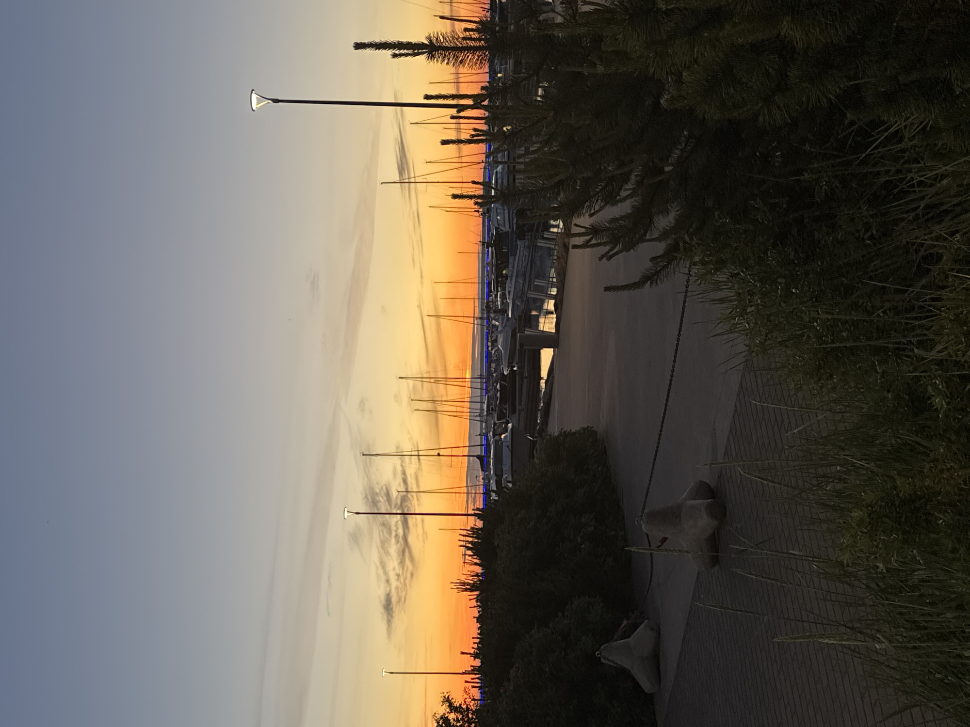 The image captures a sunset over a marina in Tallinn, Estonia. The sky transitions from a soft blue at the top to a vibrant orange and yellow near the horizon, with streaks of thin clouds. A single lamppost stands tall on the right side of the image, its light illuminated. The marina is filled with numerous sailboats and motorboats docked, their masts creating a dense forest of rigging against the colorful sky. In the foreground, dark green bushes and grass dominate, with two concrete tetrapods placed on a paved walkway. The scene suggests a peaceful evening by the water in a European city.