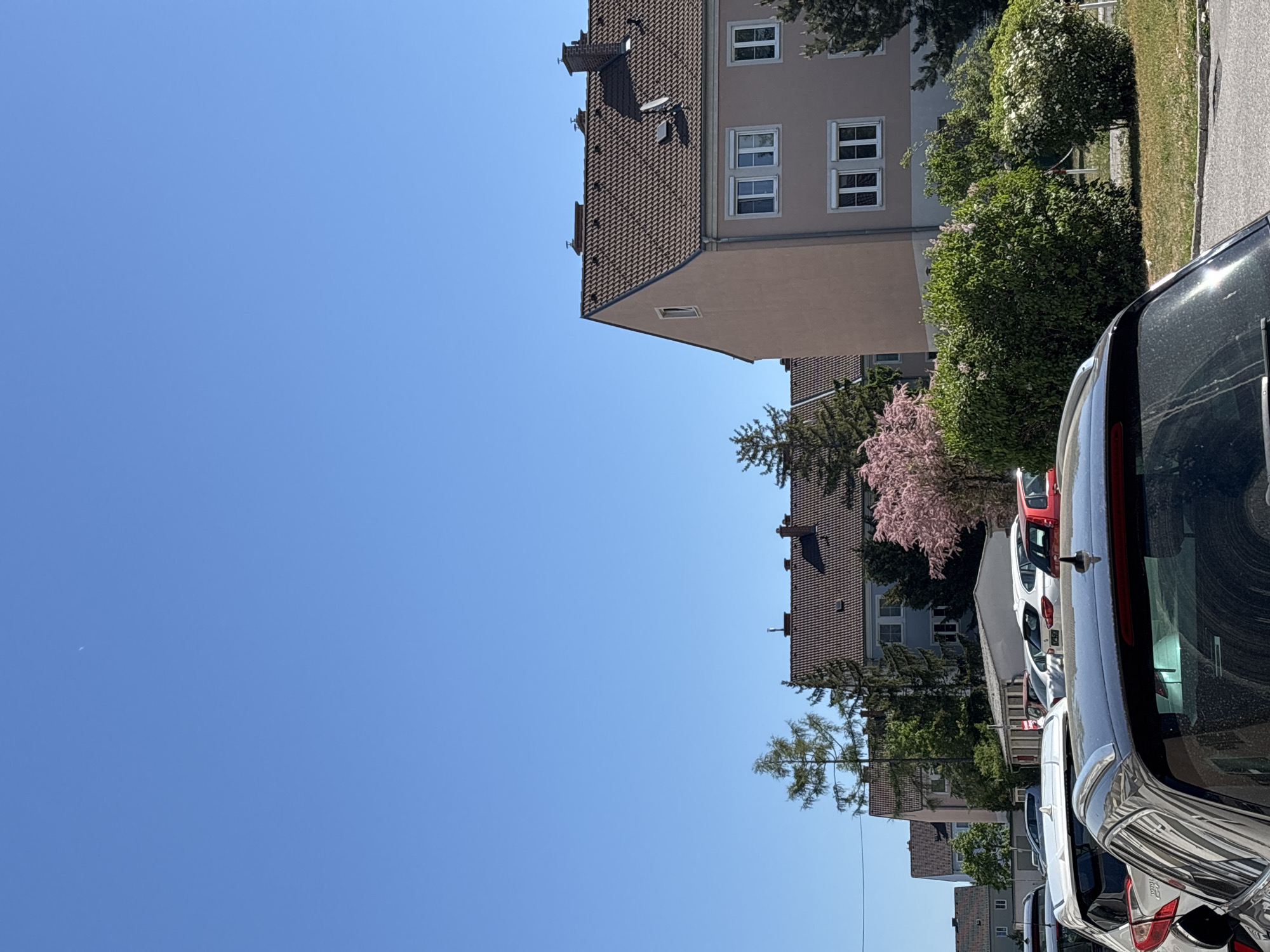 The image depicts a residential street scene in Wiener Neustadt, Austria, on a sunny day. A multi-story building with a brown tiled roof and beige facade occupies the upper right portion of the frame. Several windows are visible on its facade. The sky is a clear, bright blue and takes up the majority of the frame. Trees and other foliage, including a flowering tree with pink blossoms, grow along the street. A line of parked cars runs parallel to the buildings; the rear end of a dark-colored vehicle is prominent in the foreground. Other parked cars, including a red vehicle, are visible in the background. The environment suggests a quiet neighborhood. There are no people depicted in the scene.