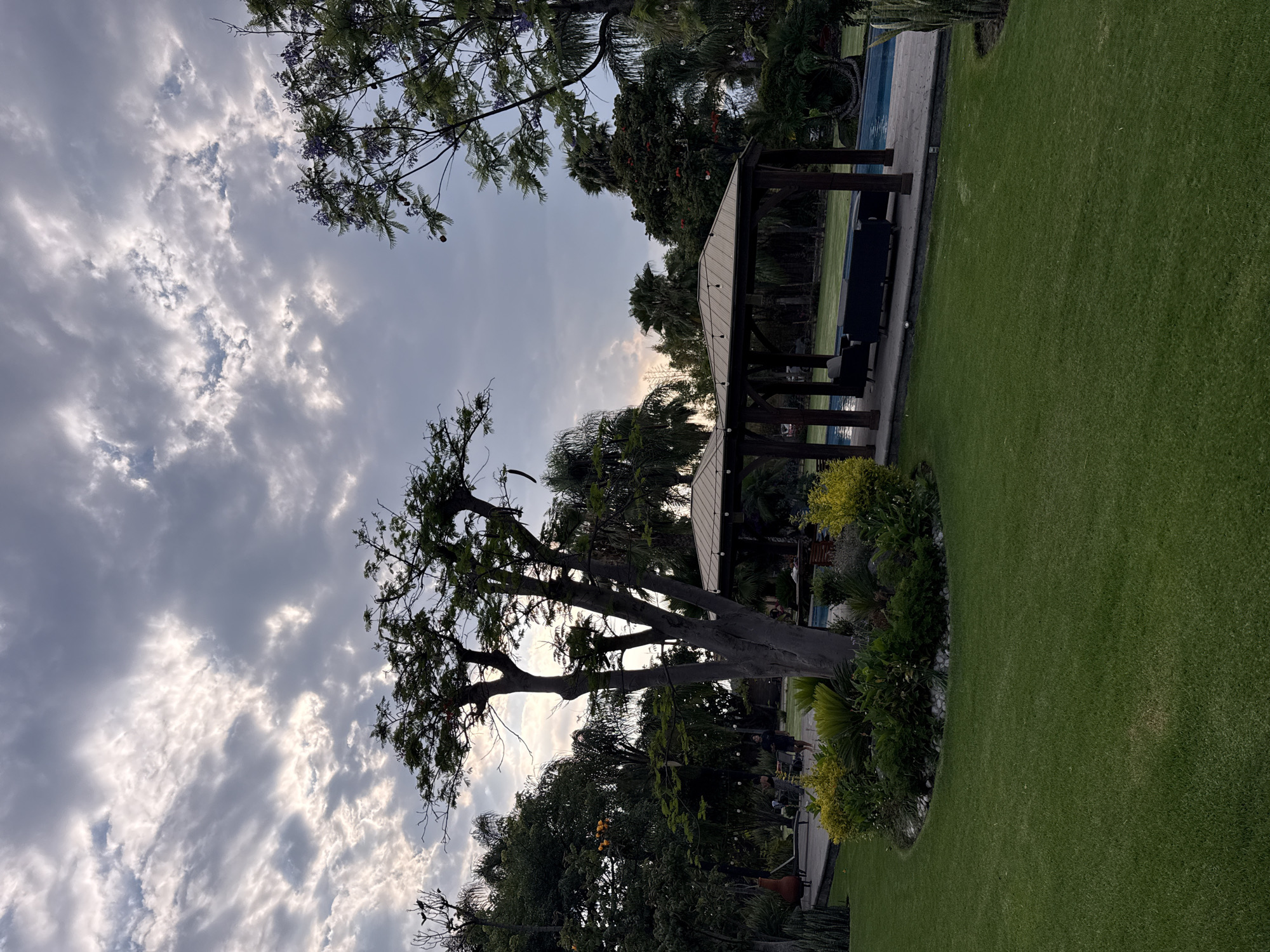 The image shows a backyard scene, likely in a residential area. A dark wooden pergola sits near a swimming pool, surrounded by lush green grass. A mature tree with a thick trunk and sparse foliage stands prominently in the foreground. Other trees and varied vegetation surround the yard. Above, the sky is filled with textured clouds. The image gives no specific indicators to verify it is in Santa Ana Yancuitlalpan (Chilhuacán), Mexico. There is no presence of people detected.