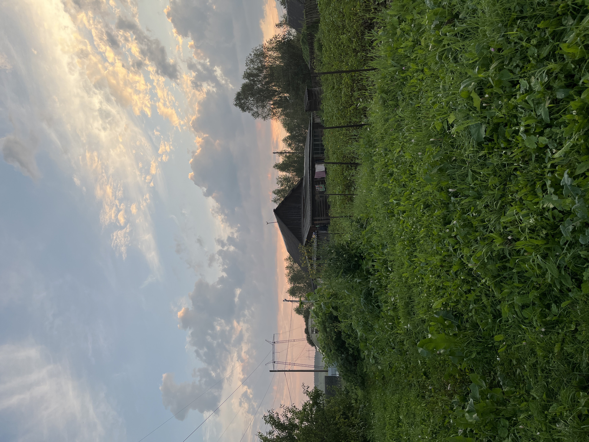 The image depicts a rural scene at dusk in Nizhny Tagil, Russia. In the foreground, a dense field of green grass and various plants stretches across the frame. A rustic wooden building, possibly a shed or a small house, is visible in the midground to the right, with a wooden fence running in front of it. To the left of the building, a small garden or cultivated patch is identifiable. Further in the background, more trees and vegetation are present, along with a large pylon carrying electricity transmission lines. The sky above is filled with a mix of clouds, some tinged with the warm colors of sunset. The overall atmosphere is tranquil and suggestive of a quiet evening in a countryside setting. There are no people or animals visible in the image.