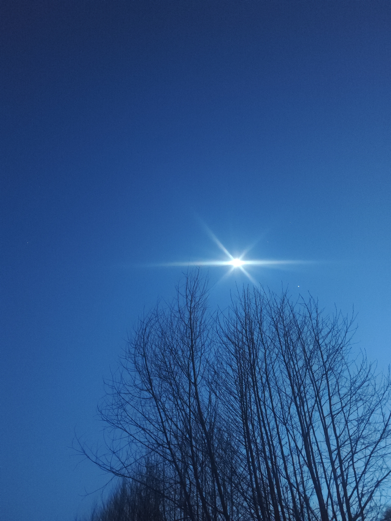 The image depicts a clear, deep blue sky on what appears to be a sunny day. A brilliant sun is positioned slightly above the center of the frame, emitting a strong starburst effect or lens flare that dominates the middle of the sky. The sky is largely unblemished, with a few faint, tiny bright spots visible in the upper left quadrant, possibly distant stars or atmospheric phenomena.
In the lower portion of the image, the dark silhouettes of numerous bare, deciduous tree branches extend upwards from the bottom and right edges, contrasting sharply with the bright sky. The trees appear to be without leaves, suggesting either late autumn, winter, or early spring. The composition places the natural elements of the sky and trees in a striking, high-contrast arrangement. There is no visible text or identifiable human activity. The overall impression is one of a crisp, clear outdoor scene.