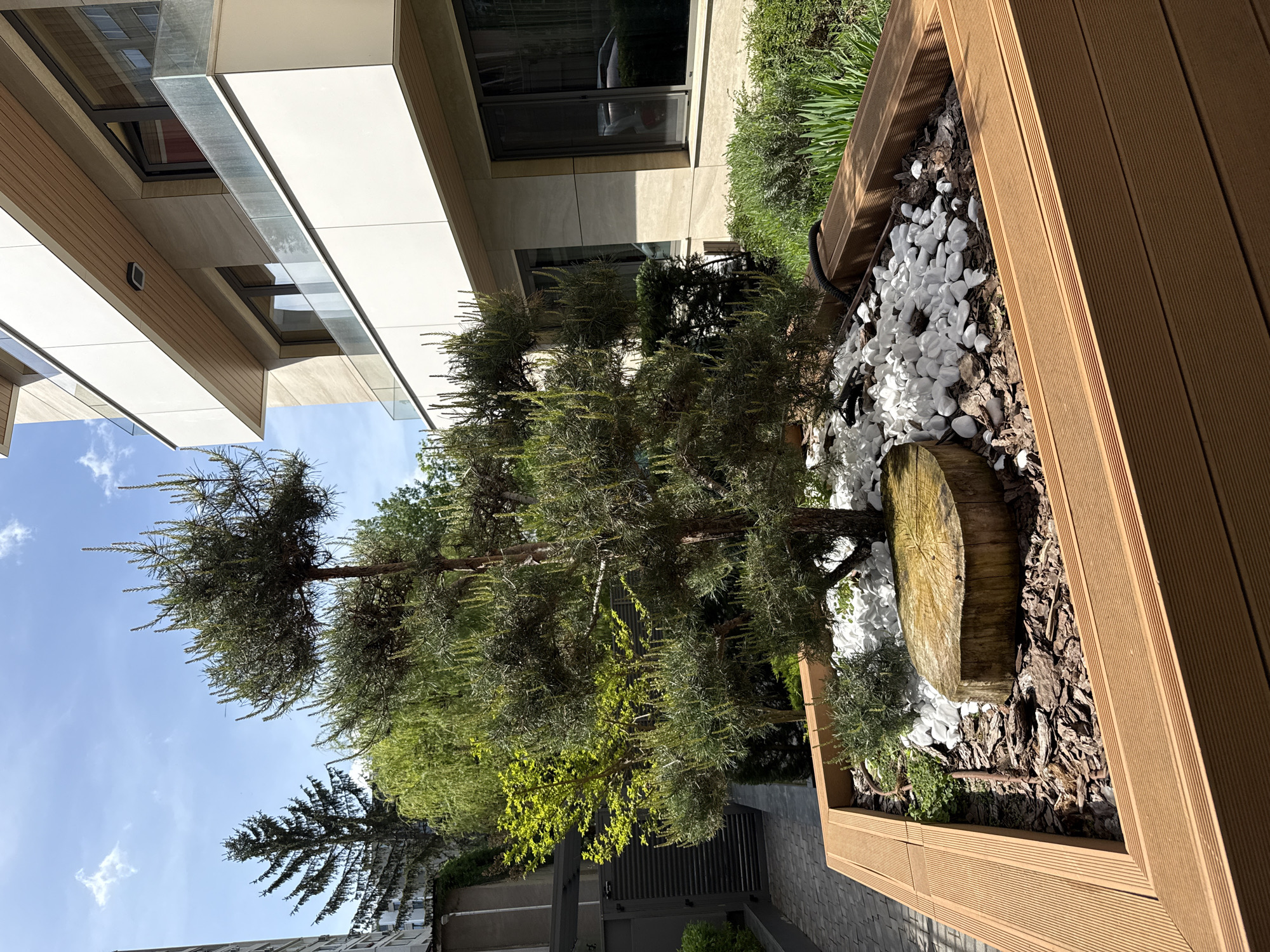 Captured from a low-angle perspective, the photograph presents a city scene in Unknown, Unknown. A tall, slender tree takes center stage, thriving inside a raised planter crafted from brown composite material. The planter's contents consist of bark mulch, decorative white stones, and a cross-section of a tree trunk.
A segment of a modern building looms overhead, its facade a combination of white panels, glass windows, and simulated wood cladding. The sky peeks through the gaps in the building, revealing a clear, blue expanse.
In the background, another evergreen tree stands near a dark gray wall, while a stone-paved walkway leads towards the foreground, suggesting a well-maintained urban landscaping.