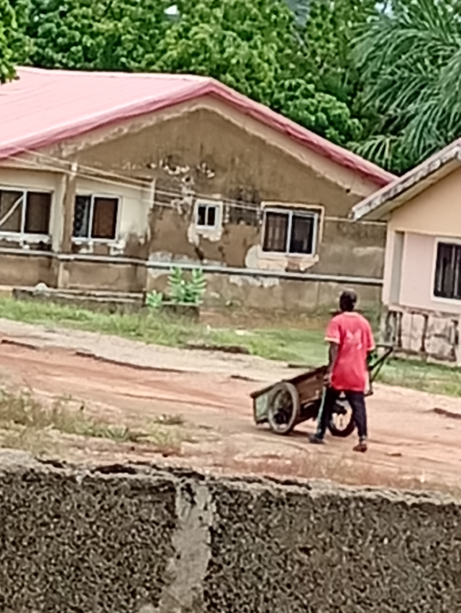 A man in a red t-shirt and dark pants is pulling a two-wheeled wooden cart on a dirt path. Behind him are two buildings with peeling facades and red roofs. Green trees are visible in the background. In the foreground is a textured stone wall. The location is Unknown, Unknown.