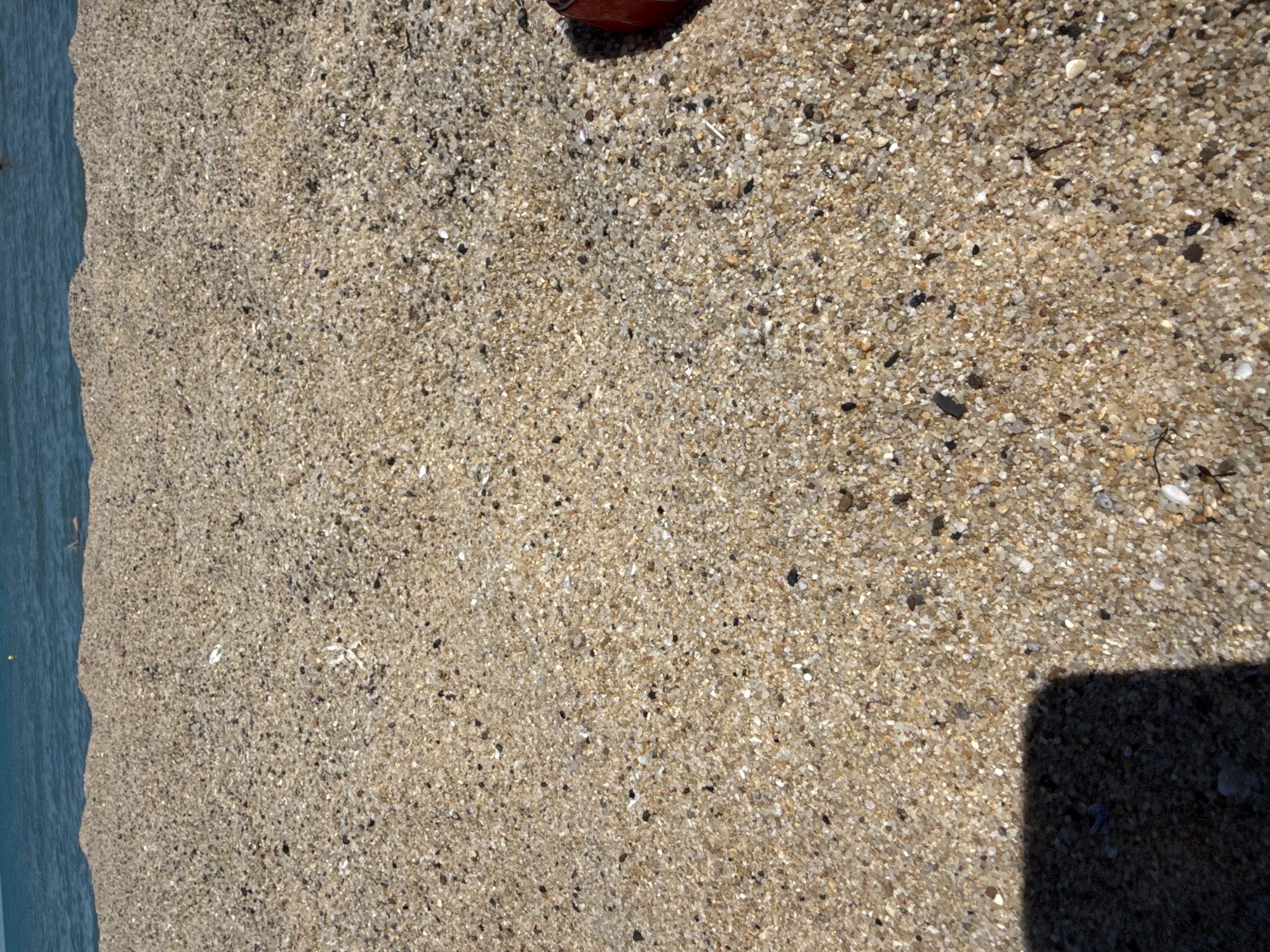 The image depicts a close-up view of a pebbly beach with the sea in the background. The sand is a mix of light brown, beige, and dark grey pebbles, with some white shells visible. The water is a clear turquoise color, and a few people can be seen swimming in the distance. The lighting suggests it is daytime. The scene is likely located at one of Varna's beaches, such as those found along the Black Sea coast in Bulgaria.