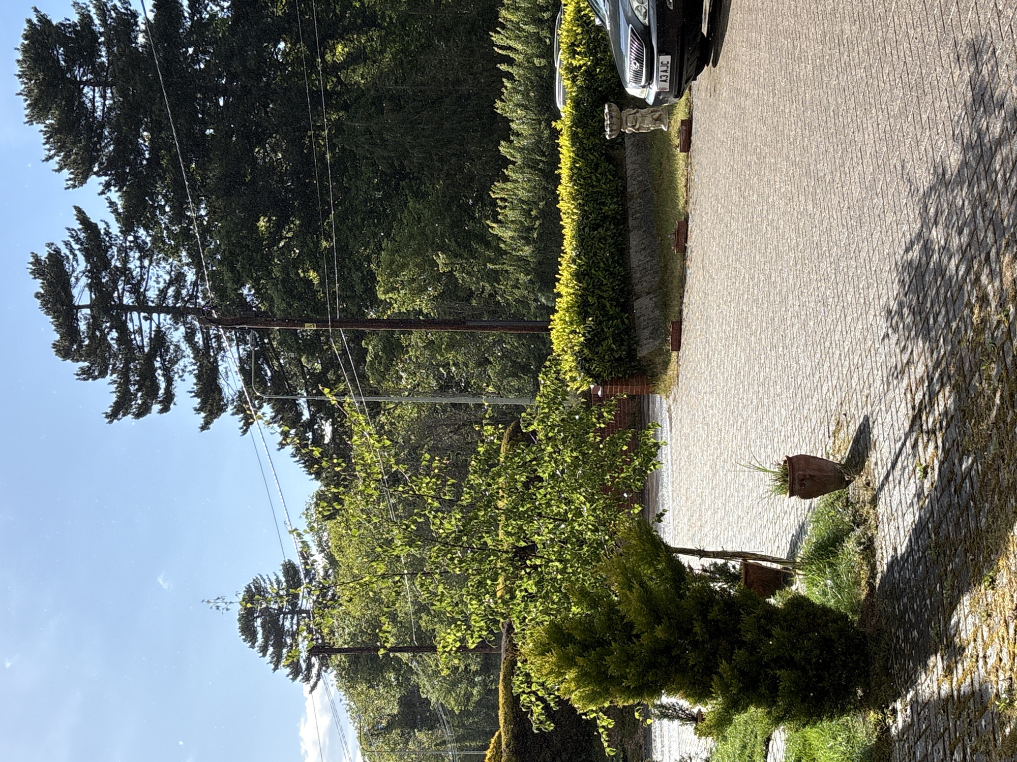 The image depicts a residential street scene in Ipswich, United Kingdom. A black car is partially visible on the right side of the frame, and its license plate reads "A3 AJC". A low hedge runs along the edge of a brick-paved driveway or walkway. Several trees of varying sizes line the other side of the path. Utility poles with power lines are also present. The sky is visible in the upper left corner, and the overall lighting suggests it is daytime. A small concrete statue sits next to the car. Flower pots are scattered along the walkway. There are no people visible in the image.