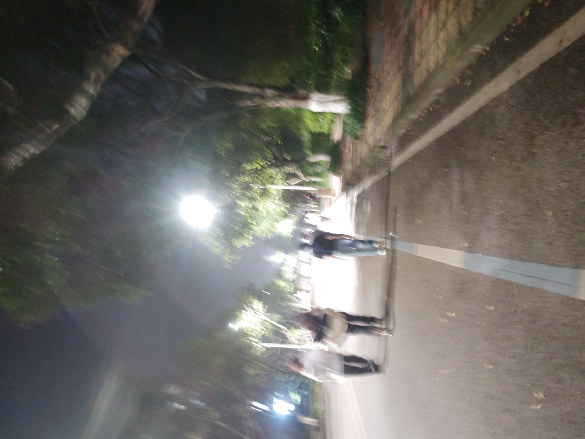 The image appears to be taken at night in an urban area, possibly the Chongqing High-tech Zone in China, based on the file name. The photo is blurry, suggesting motion during capture. Several people are walking along a paved pathway with a curb and bordering landscaping. Streetlights are visible, illuminating the scene. There are trees along the pathway. A road appears to be on the right side of the image.