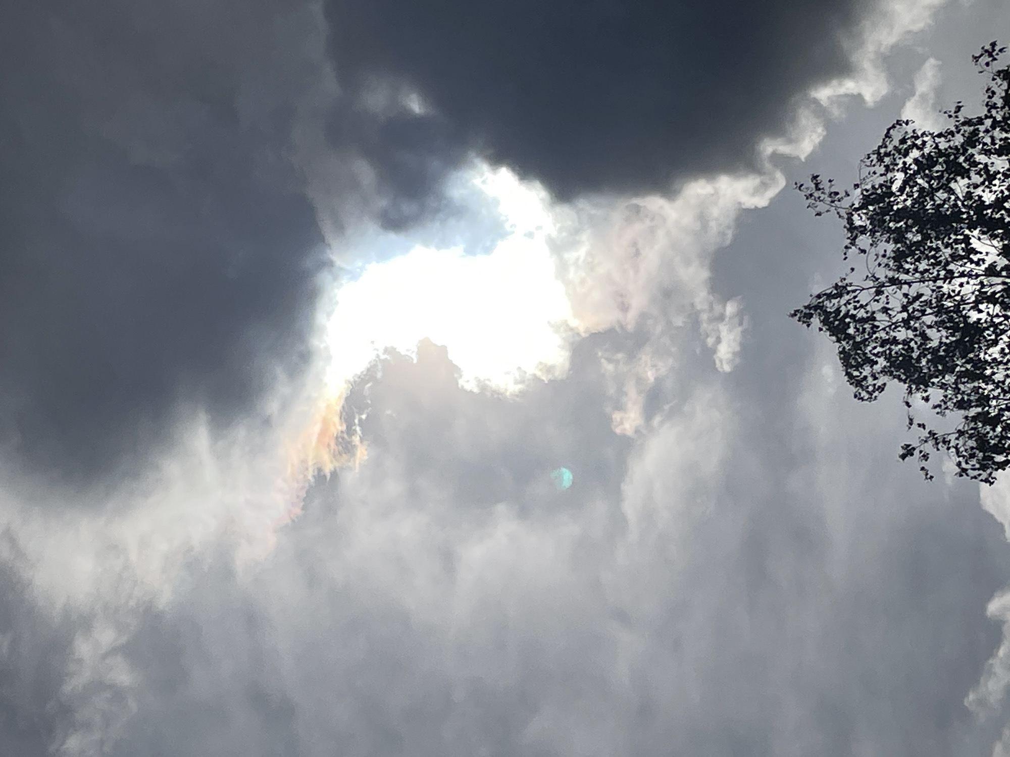 The image depicts a cloudy sky with a bright opening where the sun is visible. The clouds are predominantly gray and white, with some darker, more ominous formations. A patch of iridescent cloud iridescence appears near the sun, showing a rainbow of colors. In the upper right corner, a tree branch with dark leaves is visible against the sky. A green lens flare is present within the clouds. The location is Unknown, Unknown. No people or interactions are visible.