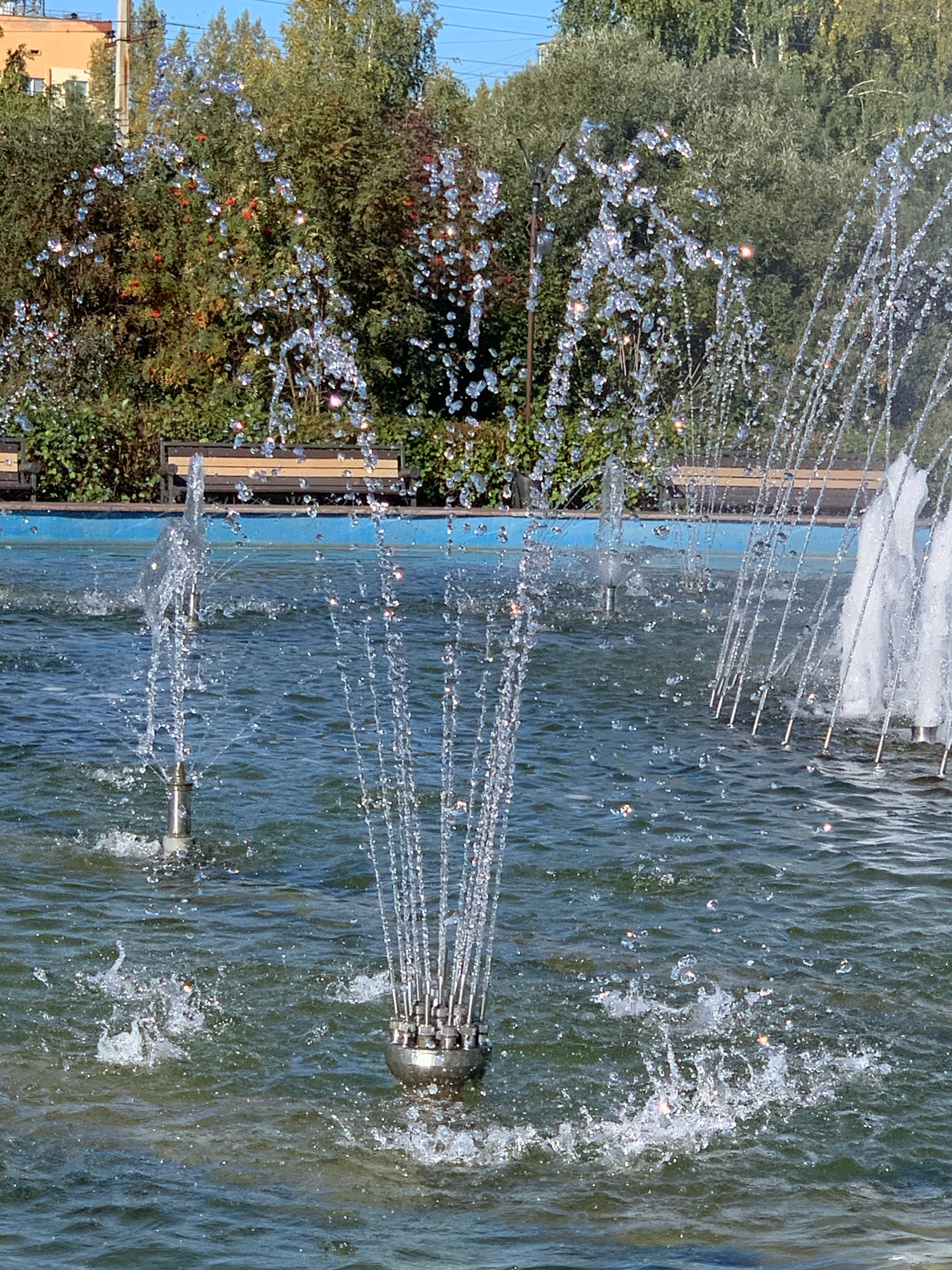 The image depicts a public fountain in the city of Prokopyevsk, Russia, under a clear blue sky. The fountain is active, with multiple streams of water arcing upwards and then cascading back into the pool. The water droplets are catching the sunlight, creating a sparkling effect. In the background, there is a line of lush green trees and foliage, with a hint of a building visible on the left. Wooden benches are positioned behind the fountain, suggesting a park or public leisure area. The water in the fountain is a deep blue-green, reflecting the surrounding environment. There are no people visible in the image.