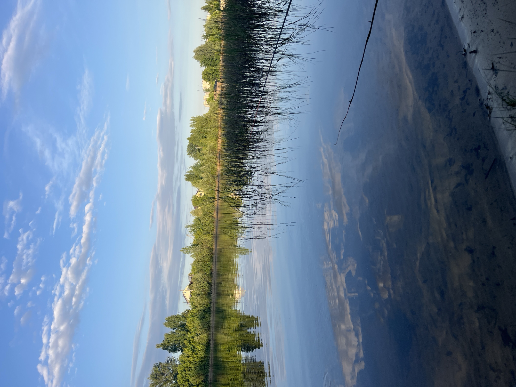 This landscape image captures a serene waterscape, likely a river or lake, under a bright blue sky, set in Vasilievo, Russia. The scene is dominated by the sky, the water, and a distant treeline, creating a tranquil and reflective composition.
The upper portion of the image displays a clear, light blue sky adorned with scattered, wispy white and light grey clouds that stretch horizontally. The lower half features the calm surface of the water, which acts as a mirror, beautifully reflecting the sky, clouds, and the lush green treeline from the opposite bank.
Along the mid-ground, a dense line of green trees marks the far bank, with several light-colored houses with darker roofs peeking out above and between the foliage, suggesting a residential area beyond the natural buffer. Tall, dark reeds and grasses fringe this distant shoreline, their delicate, elongated reflections extending into the water.
In the immediate foreground, particularly on the right side, the water is shallow and clear enough to reveal a light-colored, possibly sandy or silty bottom with darker, irregular patches, which could be submerged vegetation or shadows. A thin, dark stick or branch floats on the water's surface in the mid-right.
The soft, even lighting suggests either early morning or late afternoon, contributing to the peaceful and calm atmosphere. There are no people or visible text in the image. The overall impression is one of natural beauty and quietude.