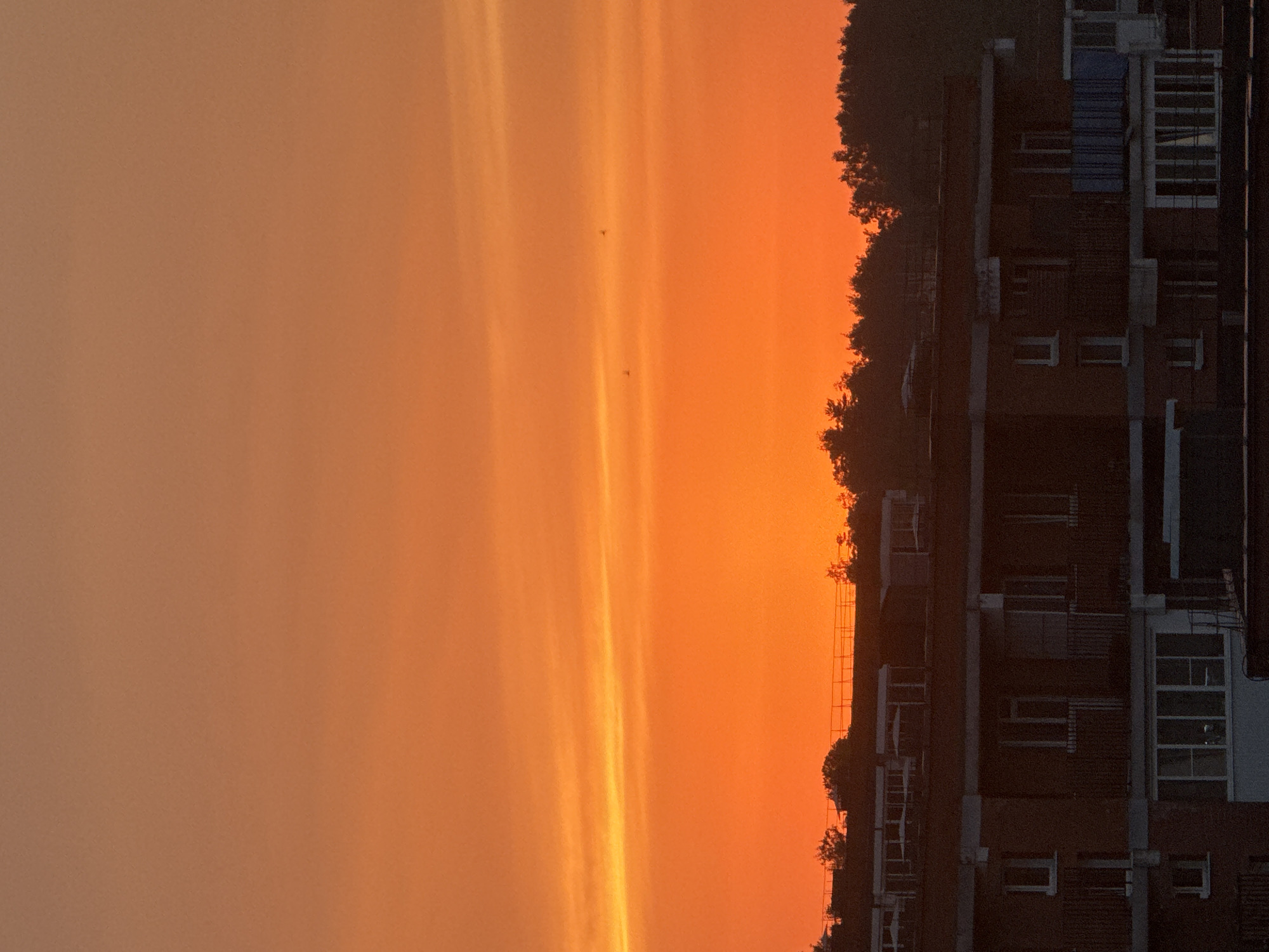 This is a photograph of an orange sunset over a city. In the foreground, there is a dark silhouette of buildings with visible windows and balconies. Above the buildings, a line of trees is visible against the bright sky. The sky itself is dominated by a gradient of orange and yellow hues, with thin, wispy clouds. A few small, dark specks that appear to be birds are present in the upper right quadrant of the sky. The location is identified as Markova, Russia.