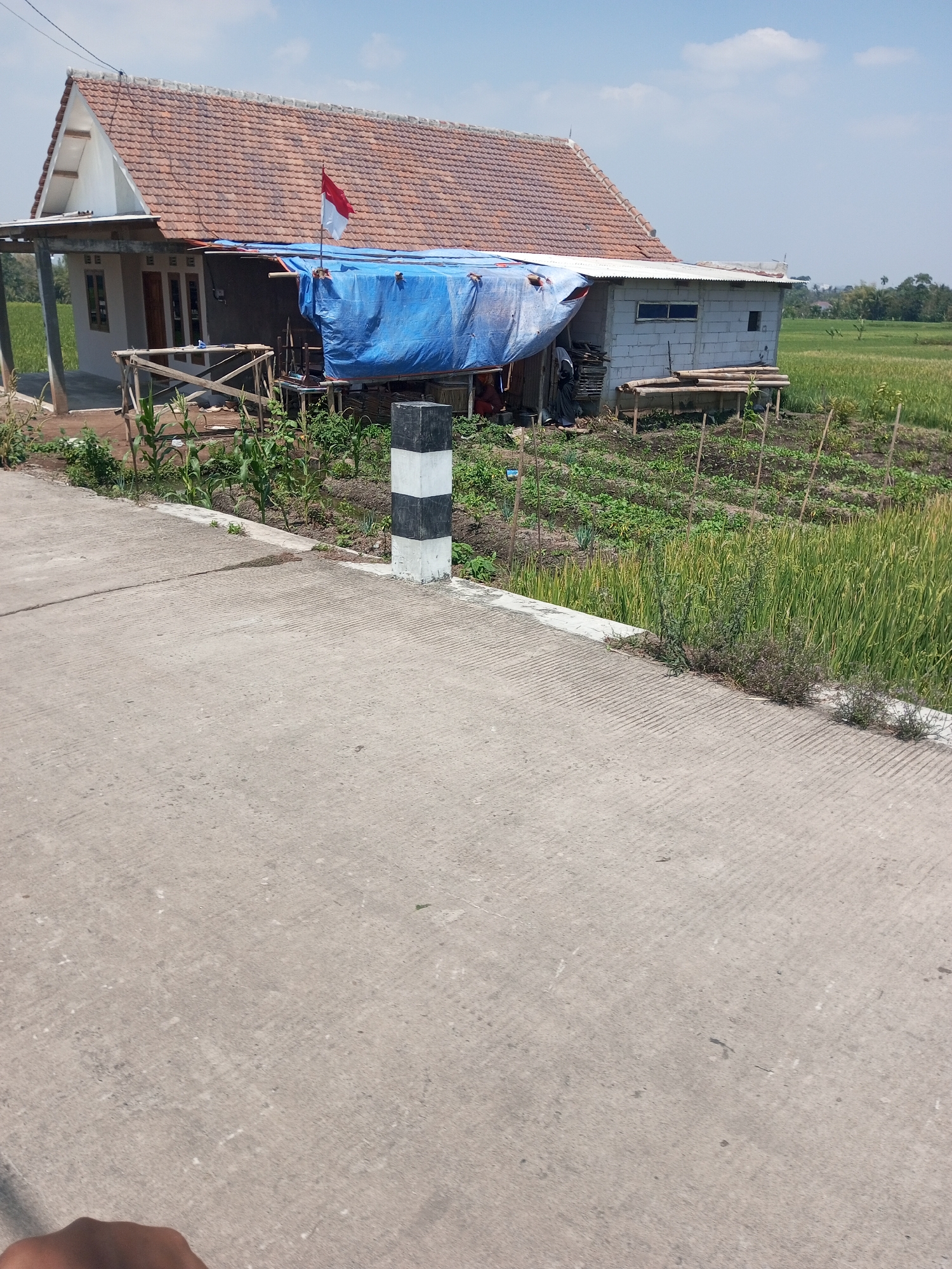 The image shows a house with a red tiled roof and white walls, possibly in a rural setting. The house is partially covered with a blue tarp. In front of the house, there is a small garden with green plants and some wooden structures. A concrete road runs in the foreground, and to the right of the road, there is a field of green rice paddies. A black and white striped post stands on the edge of the road, next to the garden. The sky is blue with some clouds. The scene appears to be in a sunny location.