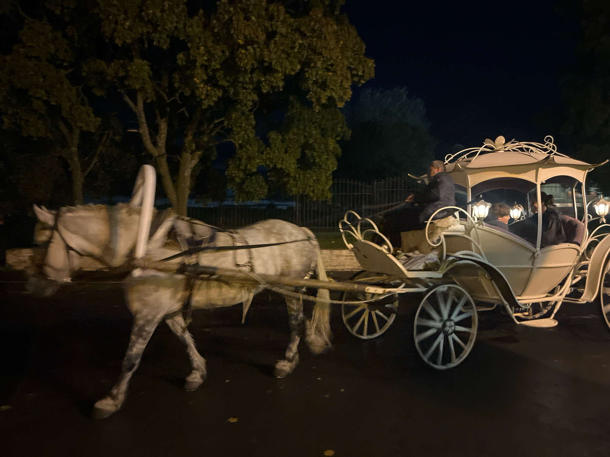 A horse-drawn carriage moves at night through what appears to be a street in Suzdal, Russia, with trees and a dark sky in the background. The carriage is white and ornate, with a canopy and gas lamps. Inside, two people are visible, one dressed in dark clothing, and another person, possibly the driver, is seated at the front. The horse, which is white or light gray, is attached to the carriage by harness and is in motion, with its legs blurred. The ground appears to be paved, and there are some fallen leaves scattered on it. A black metal fence is visible behind the carriage.