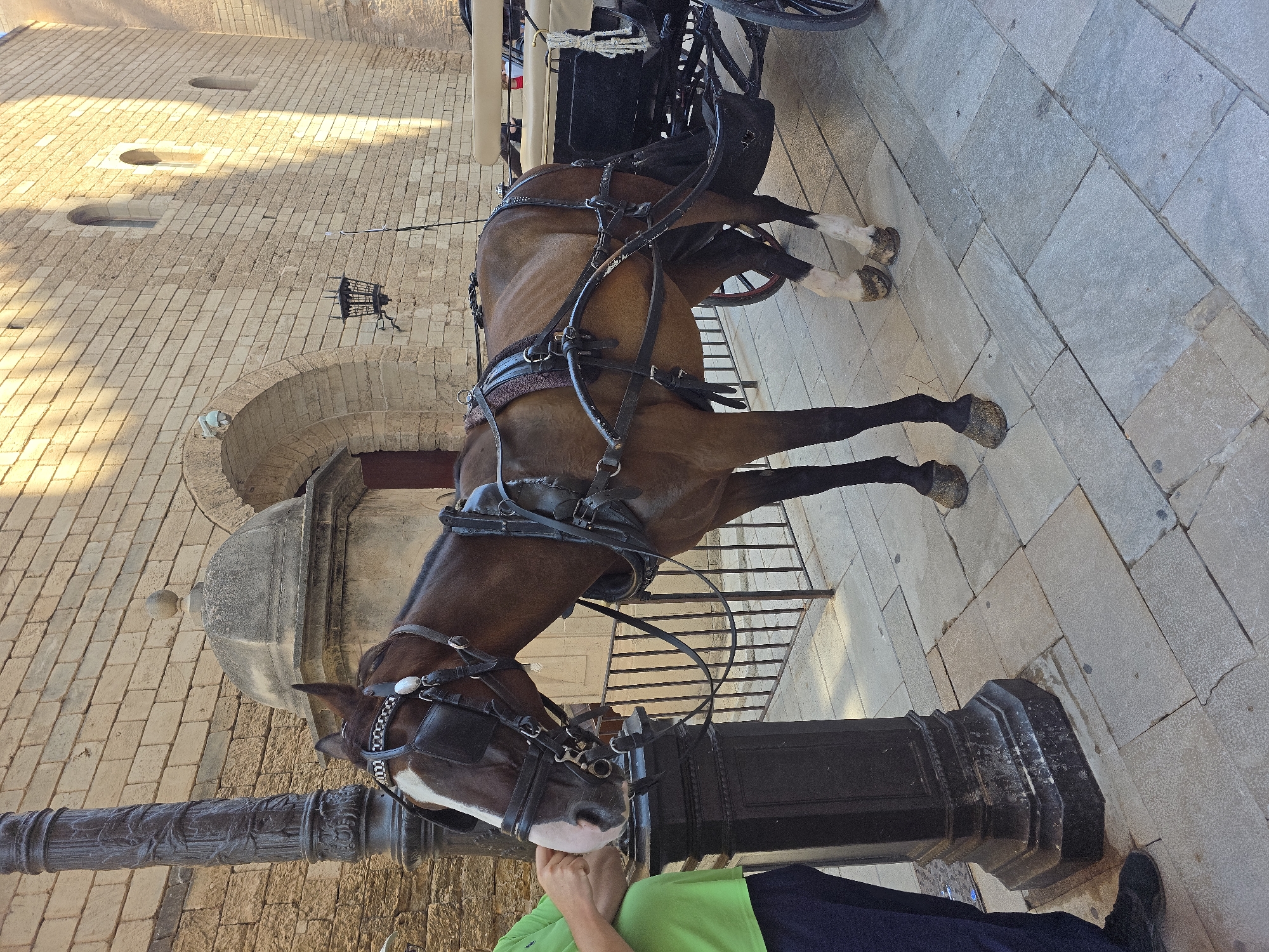 A brown horse stands tethered to a dark lamppost on a cobblestone street in front of a stone building. The horse is wearing a black leather harness and is hitched to a carriage. A person in a green shirt and dark pants is standing next to the horse, with their hand extended towards its head, as if feeding it. The building behind the horse is made of light-colored stone blocks and has an arched entrance. The street is paved with large, irregular stone slabs. The scene appears to be a sunny day, with shadows cast by the building and the lamppost.