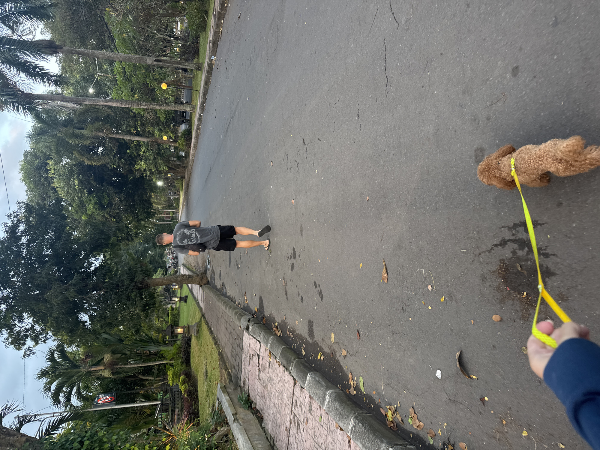 A person wearing a dark t-shirt with graphics and black shorts walks down a paved road in Dawan, Indonesia, holding a yellow leash attached to a small, fluffy brown dog. The dog is walking ahead of the person on the leash. The road is flanked by a sidewalk with a concrete curb and tiled sections. Lush green trees and palm trees line the left side of the road, with some illuminated lamps visible along the sidewalk. The sky is overcast, suggesting it is either early morning or late afternoon. The environment appears to be a tropical or subtropical area, with abundant vegetation.