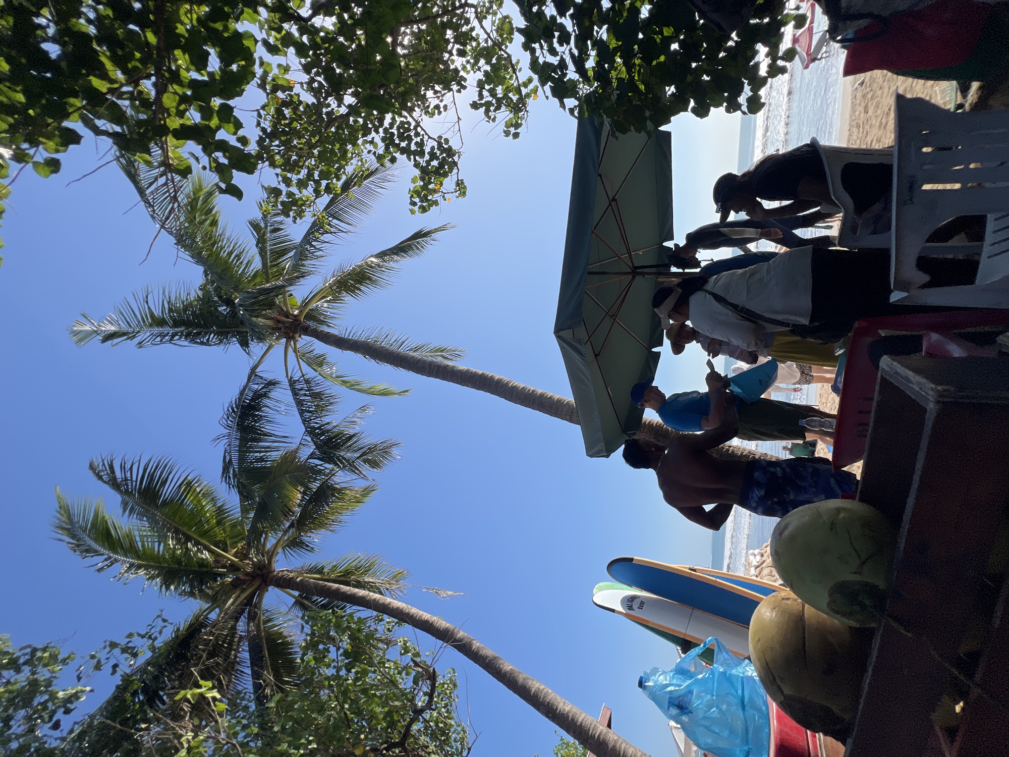 In Kuta, Indonesia, two tall palm trees frame a clear blue sky on a sunny day at the beach. In the foreground, several young coconuts sit in a wooden crate. Behind them, two surfboards stand upright, one white with orange and blue accents, the other blue with white accents. A person with dark skin and patterned swim trunks is standing to the right of the surfboards, facing away from the camera.
Further back, a group of people are gathered under a large green umbrella, seemingly engaged in conversation. Some are wearing hats or caps, and one person appears to be holding a blue plastic bag. The ocean is visible in the background, with gentle waves rolling onto the sandy shore. A partially visible red surfski can be seen in the water to the right. The overall scene depicts a relaxed beach environment.