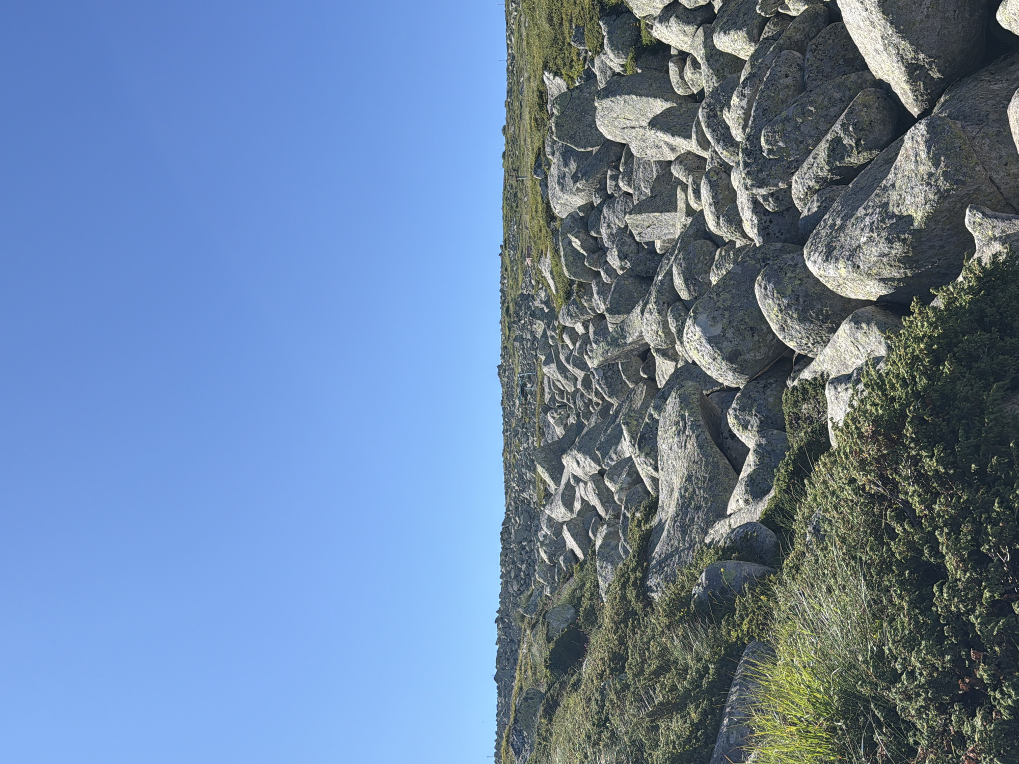 The image depicts a vast, rocky landscape under a clear, bright blue sky. The terrain is dominated by large, weathered stones of various sizes, interspersed with patches of low-lying green vegetation, primarily grasses and hardy shrubs. The rocks appear to be a dominant feature of the natural environment, covering most of the visible ground and stretching towards the horizon. The scene is devoid of any human presence or artificial structures, suggesting a remote, natural setting. The lighting indicates it is daytime, with sunlight casting shadows that highlight the textures and contours of the rocks. The overall impression is one of a rugged, untamed mountainous or high-altitude environment. This appears to be the area known as the "Stone Sea" on Vitosha Mountain, located near Bistritsa, Bulgaria.