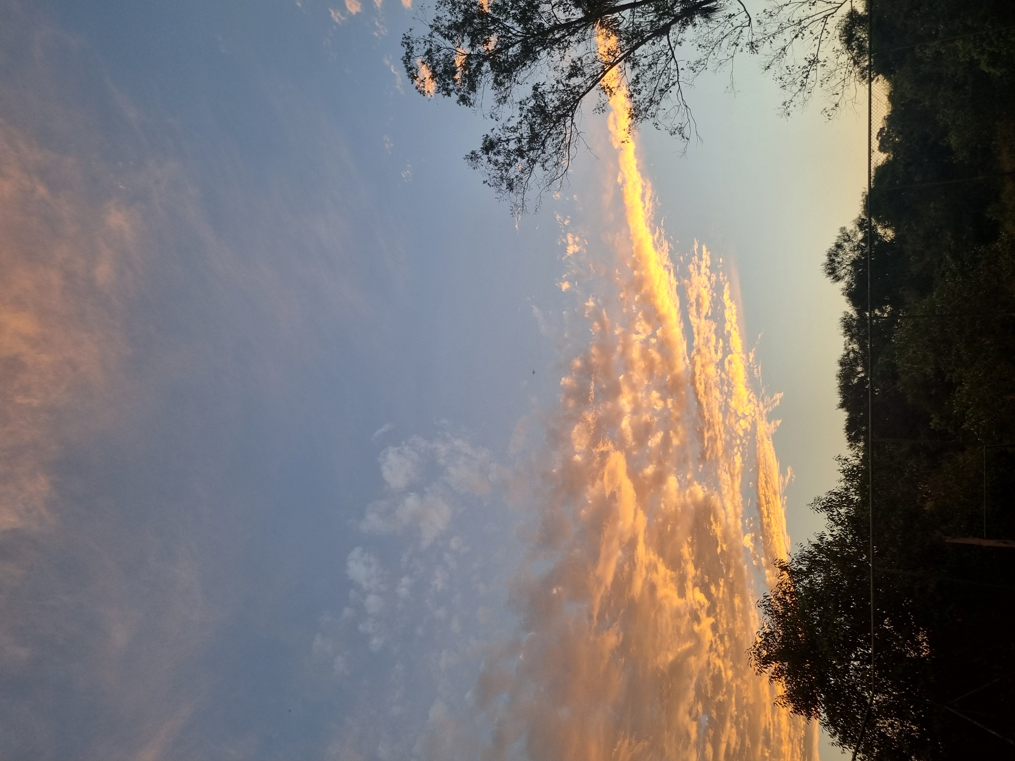 This is a photograph of a sunset over the city of Laranjal Paulista, Brazil. The sky is filled with a gradient of colors, from a pale blue at the top to a soft yellow and orange near the horizon. Wispy clouds are scattered across the sky, some catching the light and appearing bright orange, while others are a pale white. In the foreground, a dense line of dark green trees forms a silhouette against the sky. A black metal fence runs horizontally across the bottom of the frame, separating the trees from the viewer. The overall impression is one of natural beauty and tranquility.
