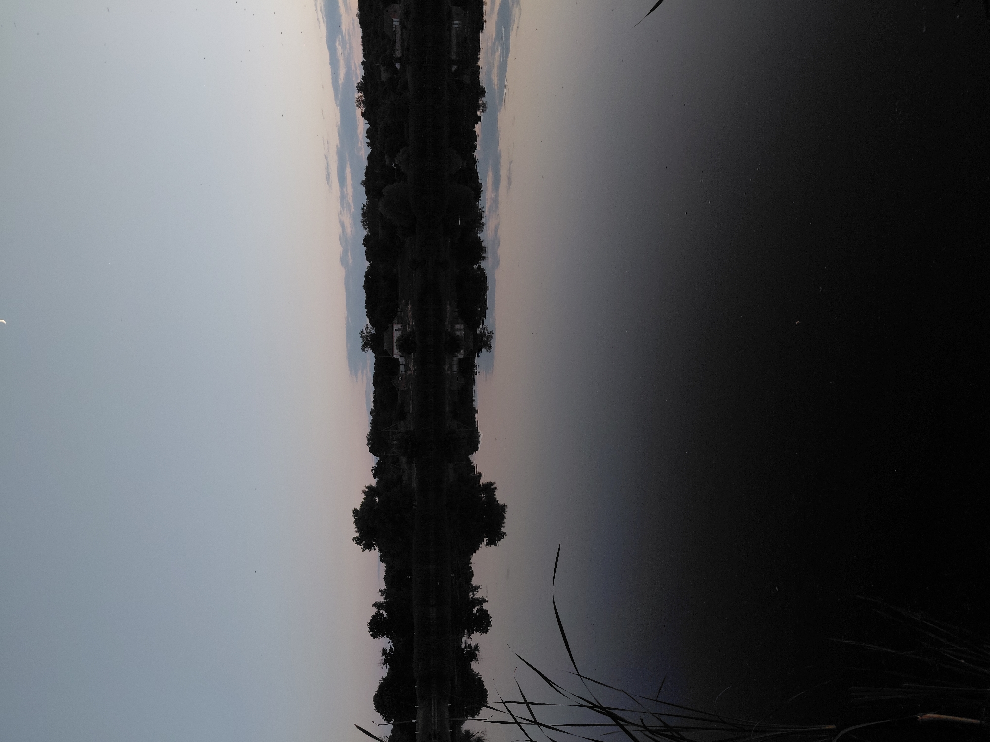 The image depicts a tranquil lake scene at dusk in the village of Ustyvytsia, Ukraine. A sliver of the moon is visible in the pale, dusky sky. Silhouetted trees and a few scattered houses form a dark line along the far bank of the lake. The surface of the water is still and reflects the sky and the treeline with remarkable clarity. Reeds or tall grasses are visible in the foreground on the left, their dark forms extending into the water. The overall impression is one of peacefulness and quiet.