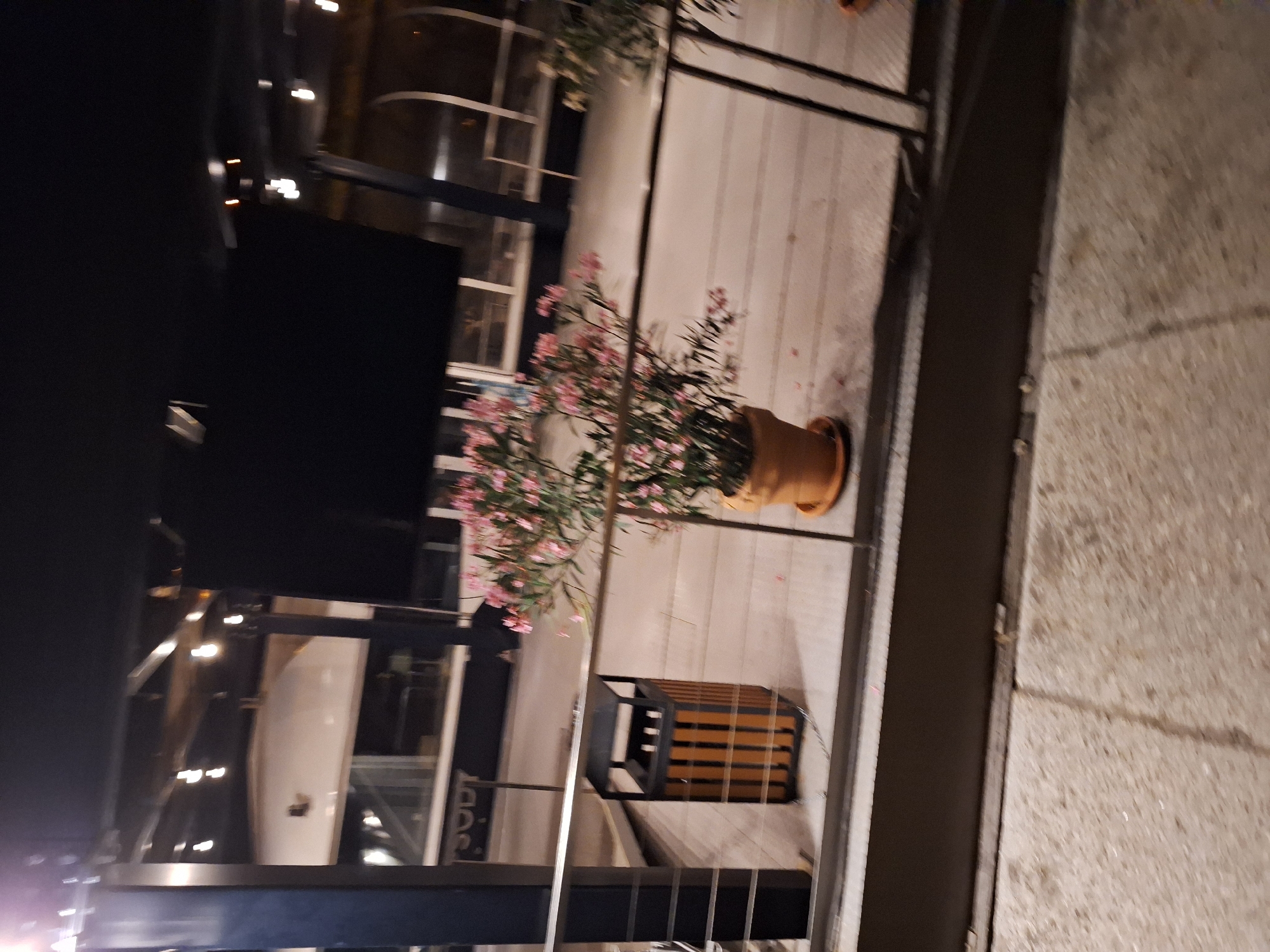 The image shows an outdoor scene at night, possibly a patio or balcony area, with a metal railing in the foreground. To the left, a dark vertical pole is visible. Beside it, a rectangular trash receptacle with vertical wooden slats and a black top is situated. Further to the right, a potted plant with pink flowers is seen. The background reveals a building with glass elements and overhead lighting, suggesting an urban setting. The overall impression is of a dimly lit, possibly commercial or residential outdoor space in a city. No specific details are available to determine the exact location within Prague, Czechia.