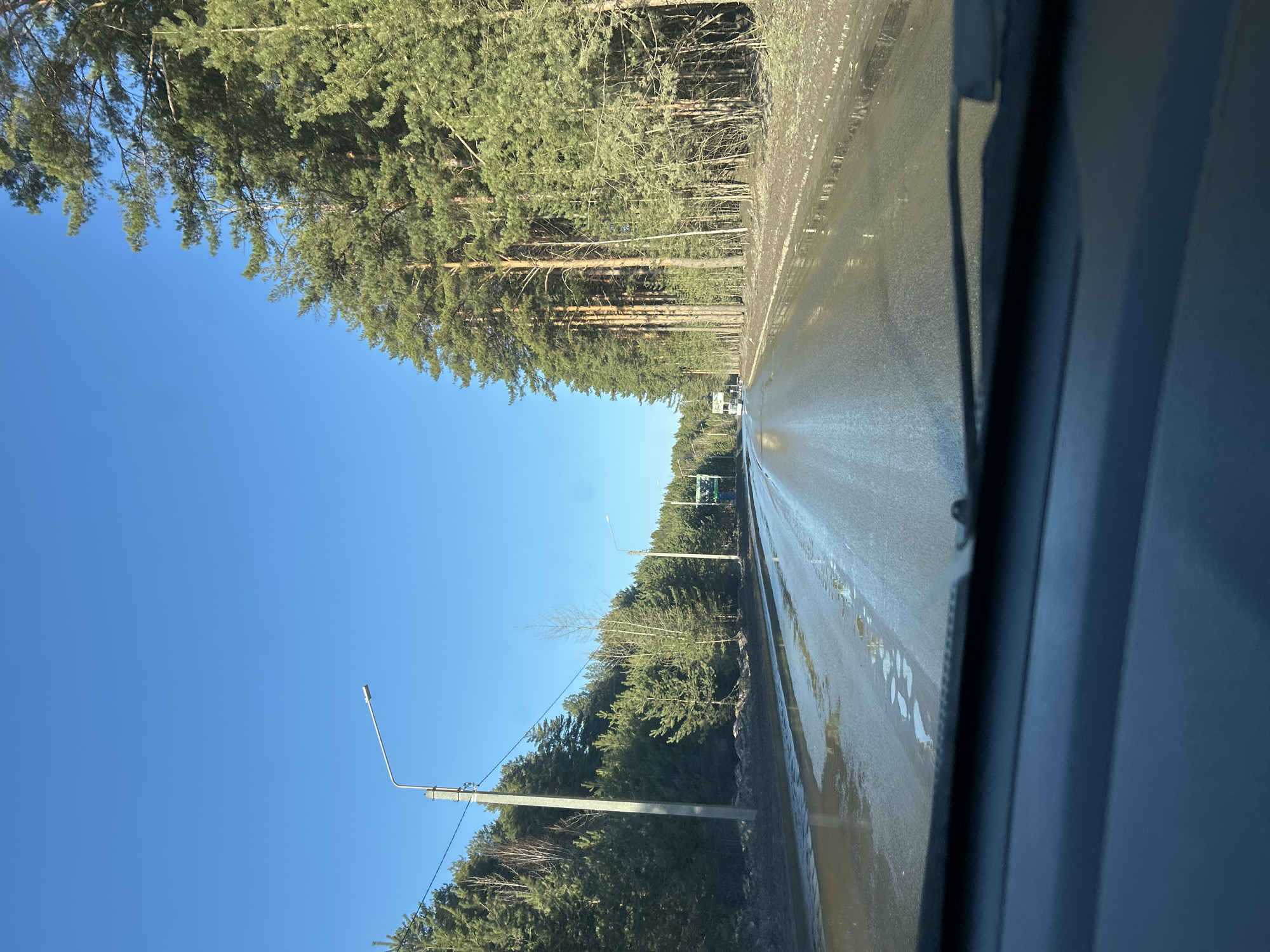 The image depicts a view from inside a vehicle driving on a wet road in Chaikovsky, Russia. The road is flanked by dense trees on both sides. The sky is clear and blue. A streetlight is visible on the left side of the road. There are vehicles in the distance on the road. The image is taken from within a vehicle, with the vehicle's interior visible on the right edge of the frame.