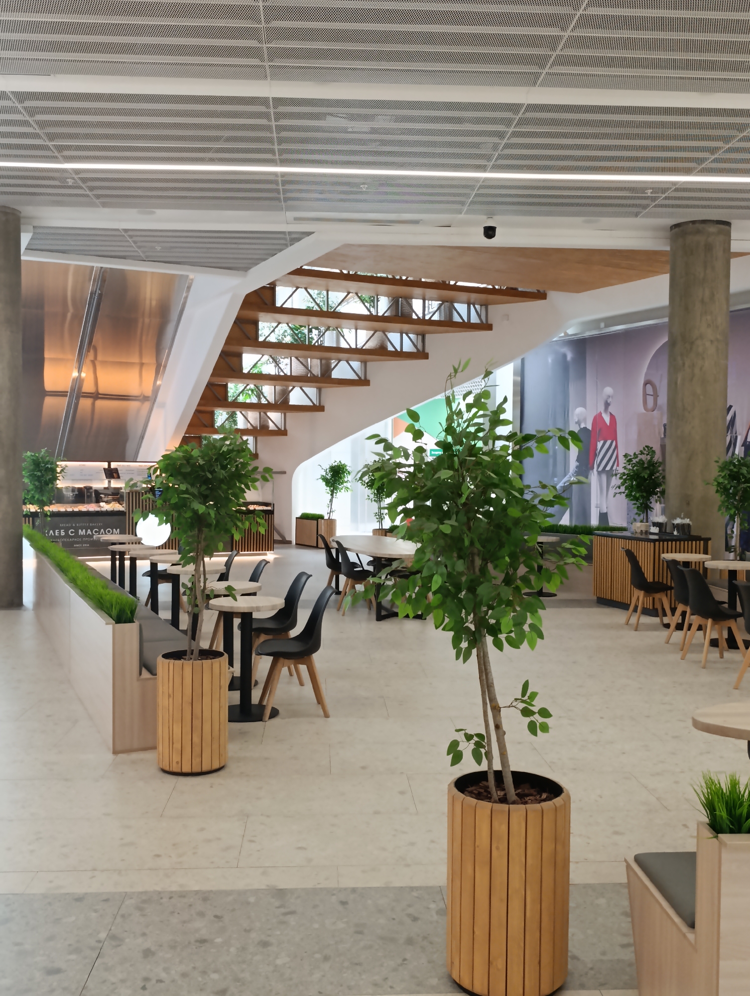The image depicts an interior scene of a modern, well-lit commercial space, likely a cafe or restaurant within a shopping mall. The architectural style features a combination of concrete pillars, a suspended perforated ceiling with integrated lighting, and a visible staircase with wooden treads and supports. Greenery is incorporated throughout the space, with several potted plants, including a tall tree in the foreground and a smaller one behind it, as well as a low-lying green planter box along a seating area.
The seating arrangements consist of small, light-colored round tables with black chairs and larger rectangular tables. In the background, a display window or mural features mannequins dressed in fashionable clothing, suggesting a retail element or an advertisement within the establishment. The flooring is a light-colored, speckled terrazzo or polished concrete.
There are no people visible in the image. The overall impression is one of contemporary design and a welcoming atmosphere, suitable for a public gathering or dining space. The image was taken in Moscow, Russia.