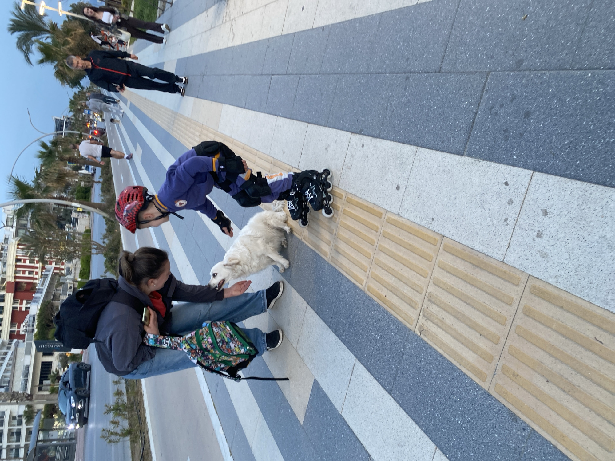 The image depicts a scene on a pedestrian walkway in Alanya, Turkey. The walkway is tiled with alternating bands of gray and white stones, with a tactile paving strip for the visually impaired. A young person on inline skates, wearing a purple outfit and red helmet, is interacting with a white dog. A seated woman with a backpack pets the dog. In the background, pedestrians walk along the walkway. Buildings and palm trees are visible, indicating a coastal urban environment. A car is parked along the road to the left. A business named Kasapoglu is visible on a sign attached to one of the buildings.