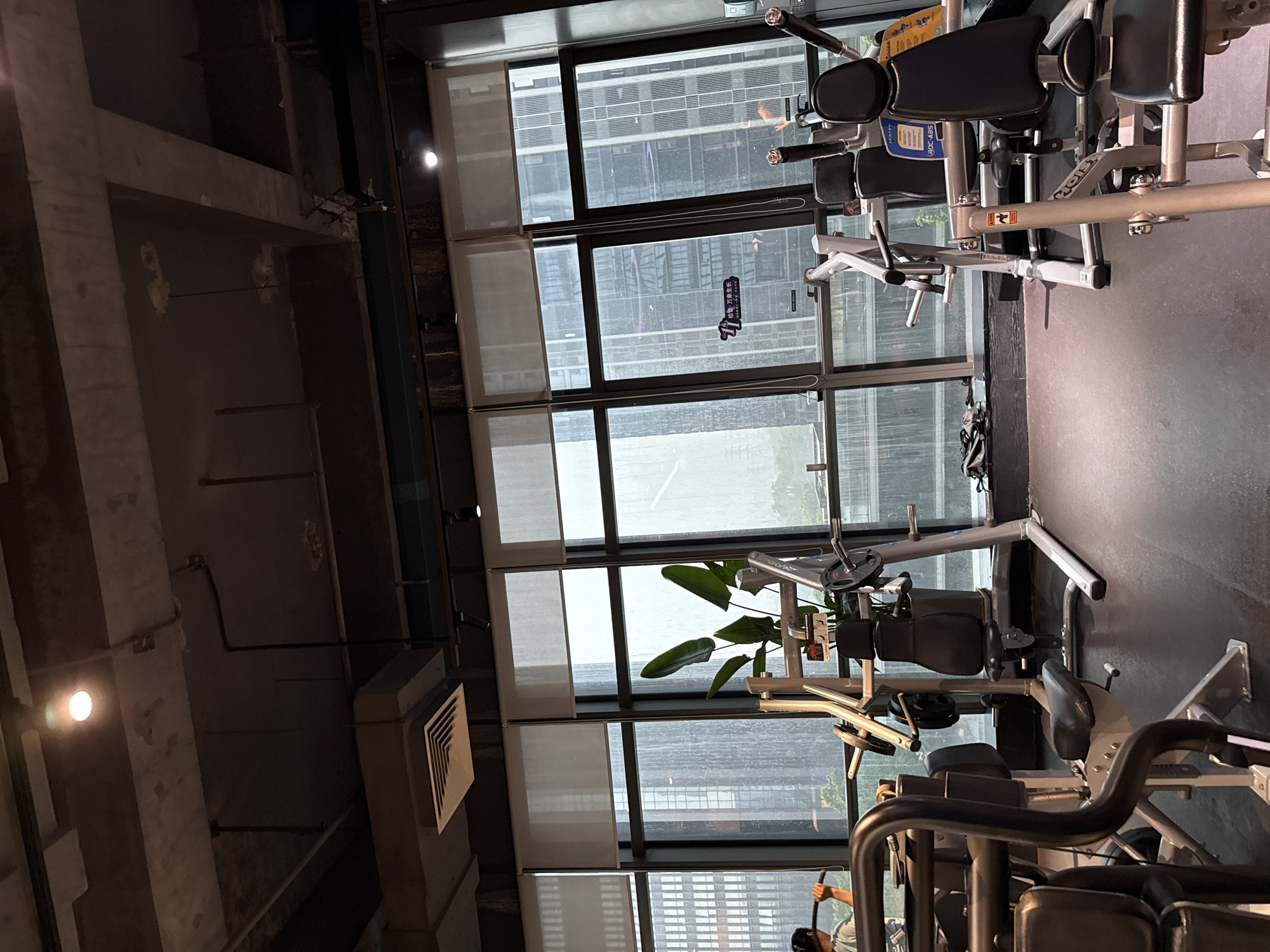 The image shows the interior of a gym, likely in Haizhu District, China, with large windows offering a view of overcast skies and urban buildings. Various weight training machines are present, including a seated lat pulldown machine and a chest press machine. In the foreground, a person with dark hair tied back is partially visible, using a weight machine. A large potted plant with broad green leaves is positioned near the window. Roller blinds cover the upper portion of the windows. The lighting suggests an indoor environment.