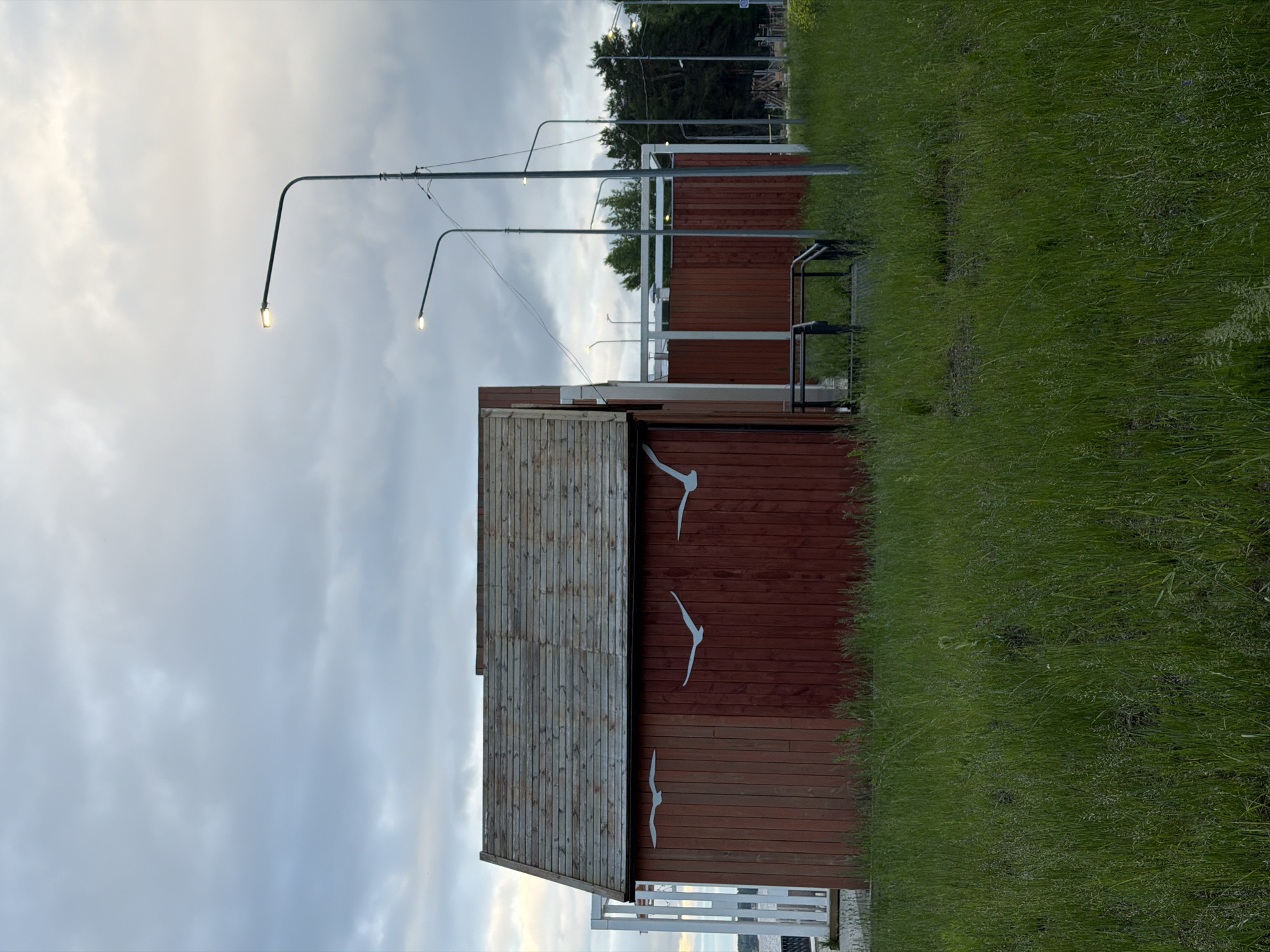 This image, captured in the city of Chaikovsky, Russia, presents an outdoor scene under a cloudy sky, likely during late evening or early morning due to the presence of illuminated streetlights. The foreground is dominated by a dense, unkempt expanse of long, green grass.
In the midground, a rustic, gabled wooden building with vertical reddish-brown plank siding and a weathered wooden shingle roof is centrally located. Three stylized white cutouts, resembling seagulls in flight, are affixed to its left side. To the right of this primary structure, a smaller section of similar reddish-brown wooden fencing or a building facade is visible. A short, dark-colored metal railing outlines what appears to be a ramp or steps leading to an entrance between these two red structures.
Several streetlights are present, with two prominent dark grey poles curving upwards, each topped with an illuminated lamp emitting a warm yellow light. Wiring is visible connecting to one of the streetlight poles. Further back, additional streetlights are sparsely distributed. White-painted vertical slats and horizontal beams are partially visible behind and to the left of the main building, forming part of a railing or fence.
The background on the right features a dense line of dark green trees. The overall environment appears to be an interface between a constructed area and a somewhat overgrown natural space, illuminated by artificial light under a diffused, overcast sky. No people or animals are visible in the scene.