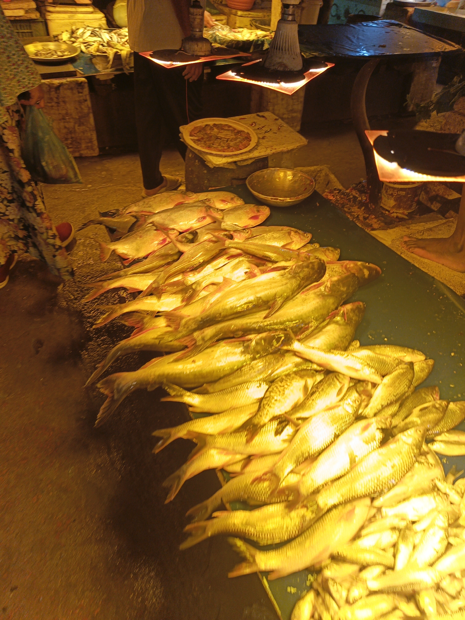 This image depicts a fish market scene, most likely in Dhaka, Bangladesh. The focus is on a large pile of fish of varying sizes and types arranged on a green surface, presumably a table or stall. Larger, silver-colored fish are stacked towards the top of the frame, while smaller, golden-hued fish are clustered at the bottom.
A person wearing floral clothing is partially visible on the left side of the frame, along with a shopping bag. In the background, another person wearing black pants stands near a countertop where food in a dish is sitting. Above the countertop are two lamp fixtures that have orange lights and cast shadows on the surface. A metal bowl sits near the fish on the table. The overall lighting is warm and intense, suggesting a market environment with possibly artificial lighting.
