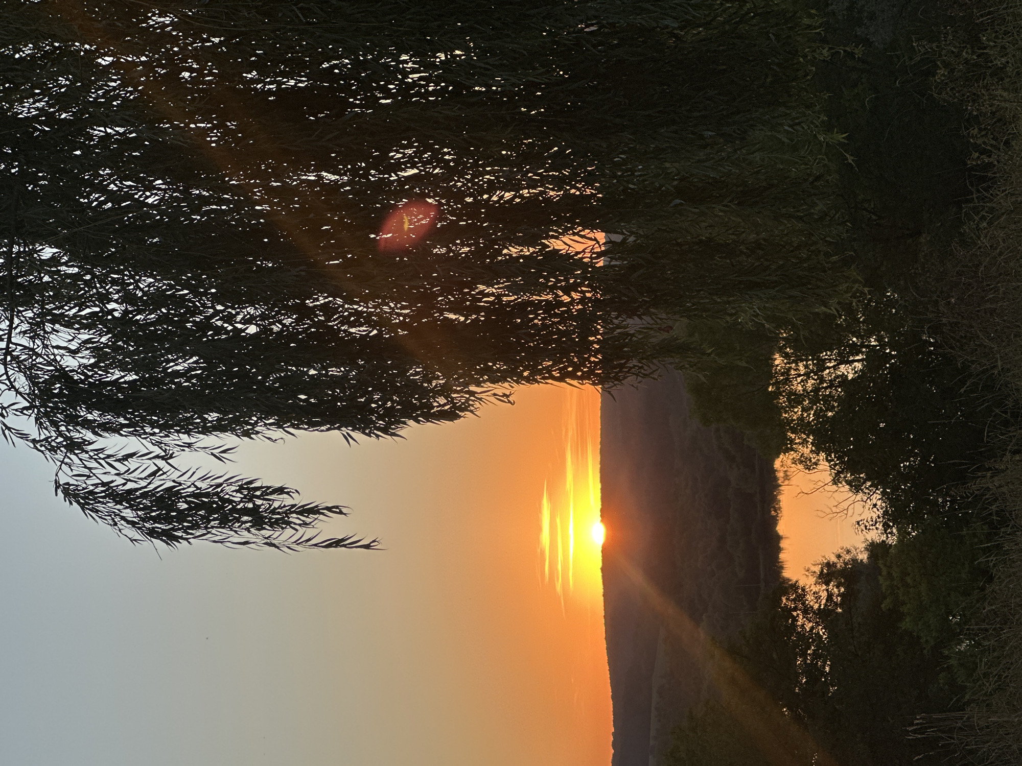 The image depicts a sunset over a tranquil landscape, likely near Makiv, Ukraine. A weeping willow tree with its long, drooping branches dominates the right side of the frame, partially obscuring the view of the horizon. The setting sun, a vibrant orange orb, is low in the sky, casting a warm glow and creating a visible sunbeam effect that extends towards the left. Below the horizon, rolling hills covered in dense foliage are visible. In the middle ground, a body of water, possibly a lake or river, reflects the golden hues of the sunset. The foreground is characterized by dry grass and more dense vegetation. The overall atmosphere is serene and peaceful.