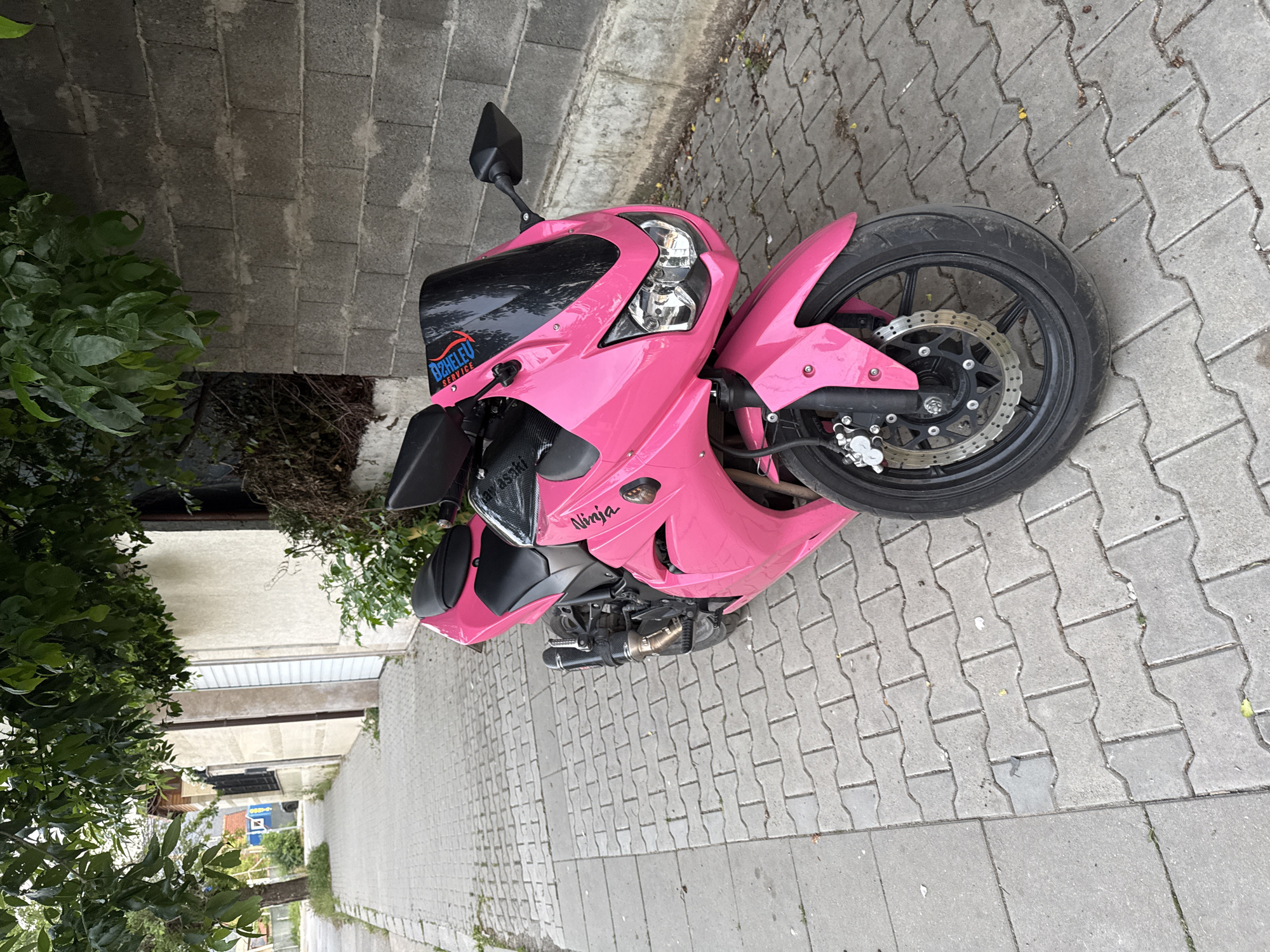 A pink Kawasaki Ninja motorcycle is parked on a gray, paved sidewalk. The motorcycle is oriented at an angle, with its front wheel pointing towards the right side of the frame. The motorcycle has a black windshield and a black seat. The word "Ninja" is visible in black text on the side of the motorcycle. A sticker with the words "OZHELEV SERVICE" in blue and white is on the windshield.
The background shows a concrete wall with some greenery and bushes. The ground is paved with interlocking gray concrete bricks. There are some scattered leaves and debris on the ground. The lighting suggests it is daytime, and the weather appears to be overcast or the lighting is diffused. The scene is likely an outdoor urban or suburban environment. No people are visible in the image. The overall tone is neutral, focusing on the object itself.